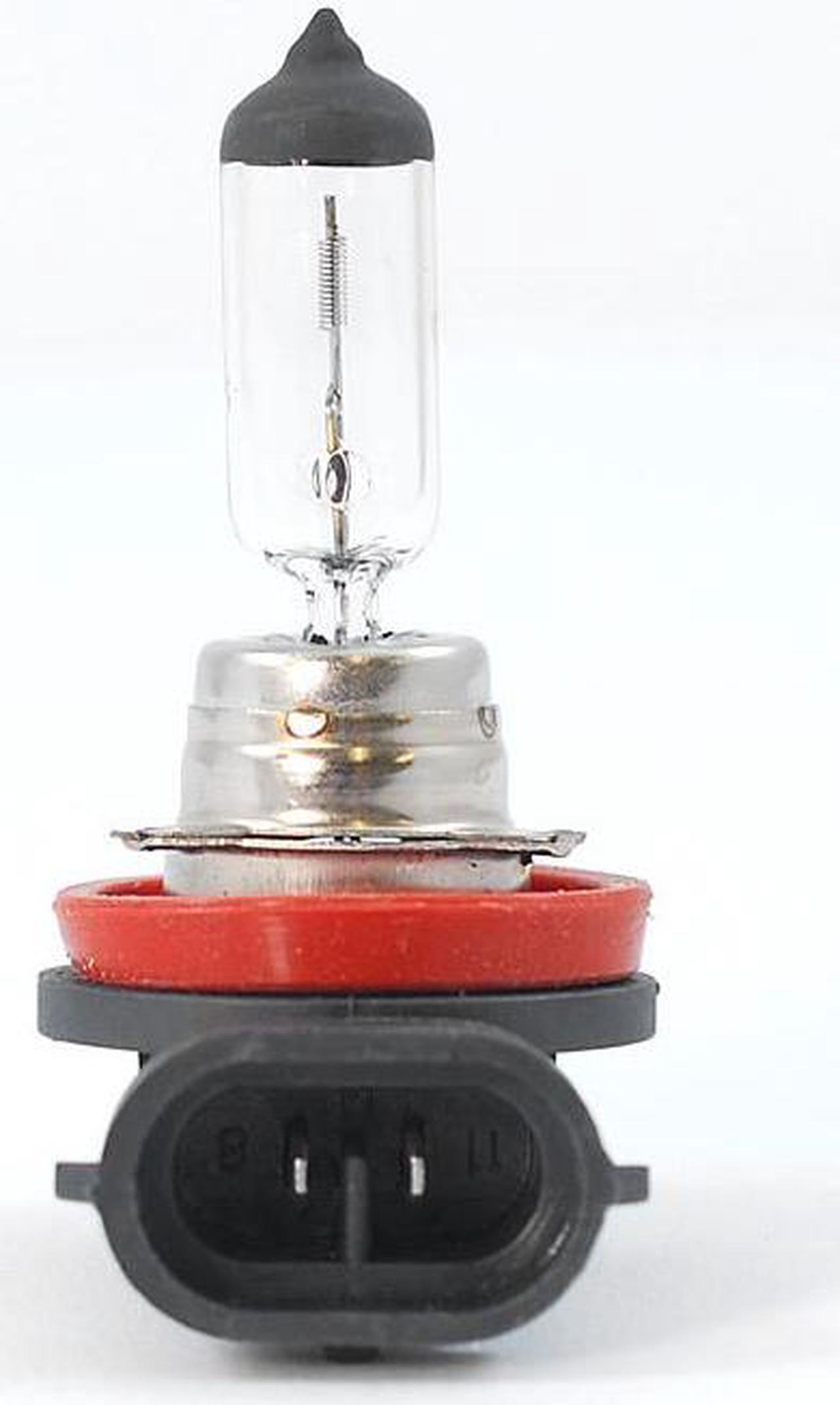 Alt view image 4 of 4 - BulbAmerica H11 - 12V 55W Halogen Xenon Clear Automotive Bulb