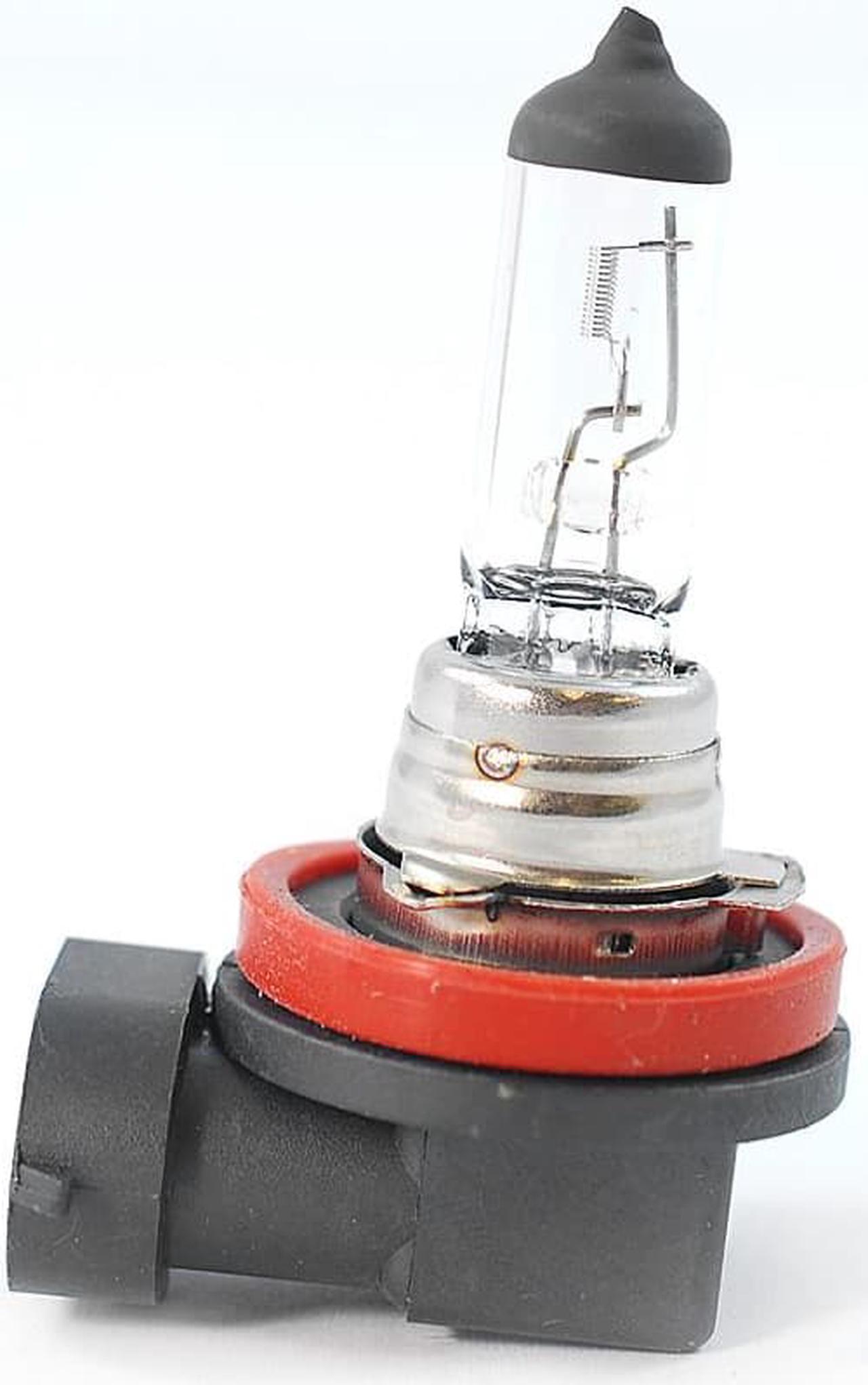 Main image of BulbAmerica H11 - 12V 55W Halogen Xenon Clear Automotive Bulb