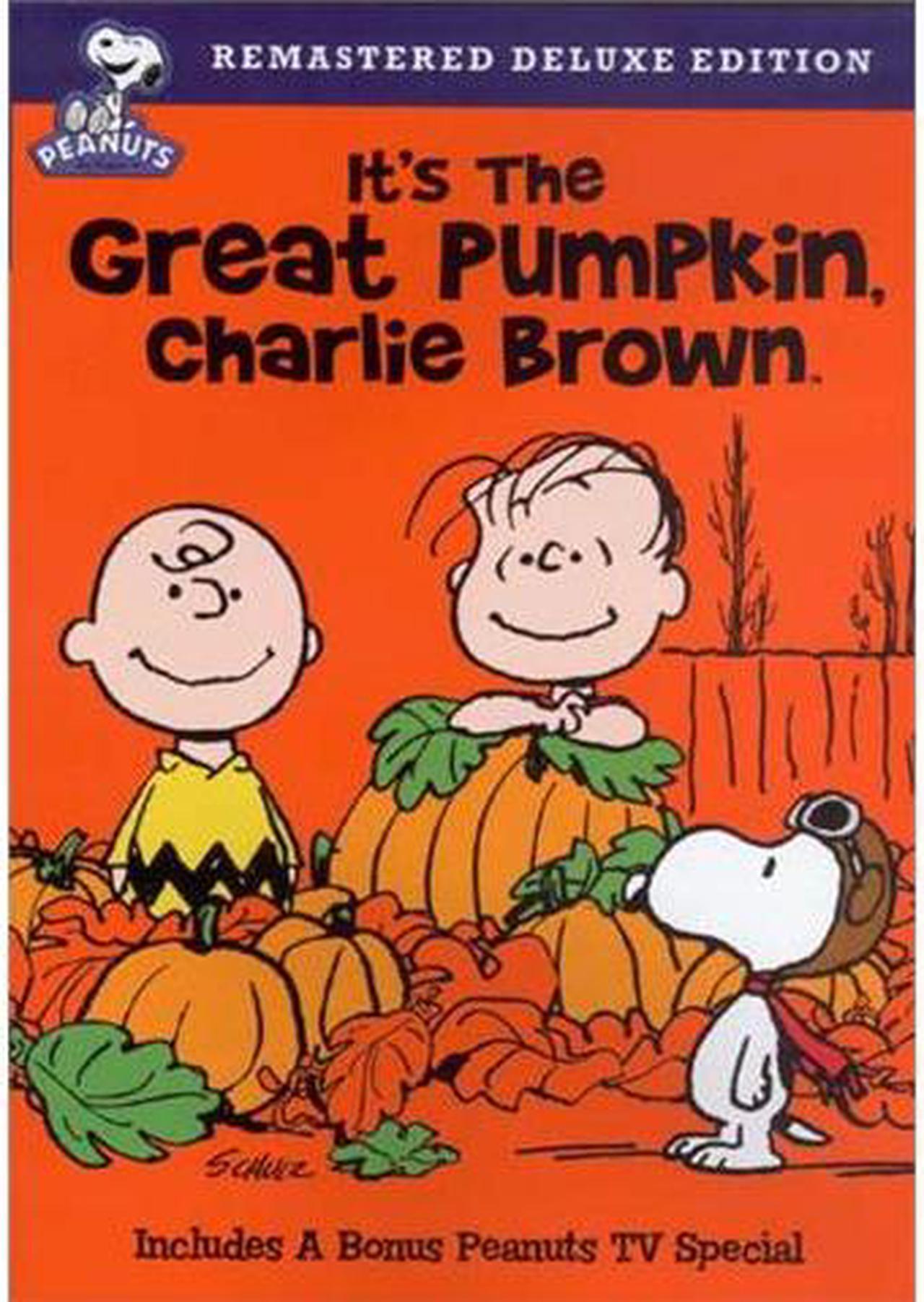 Main image of Peanuts: It's the Great Pumpkin, Charlie Brown Peter Robbins (voice), Chris Shea (voice), Sally Dryer (voice), Cathy Steinberg (voice)