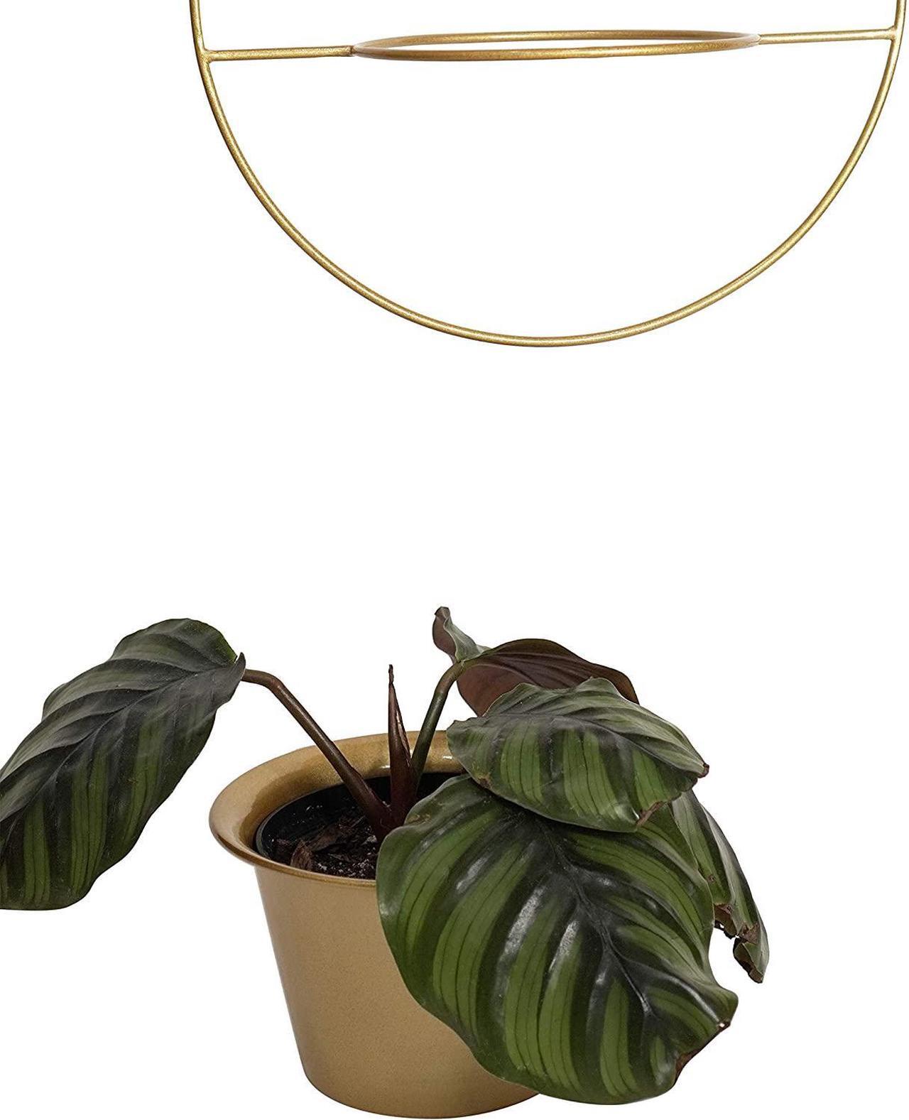 Alt view image 3 of 7 - Plant Hanger 6 Inch Hanging Pot Wall Planters Indoor Hanging Planter - Gold