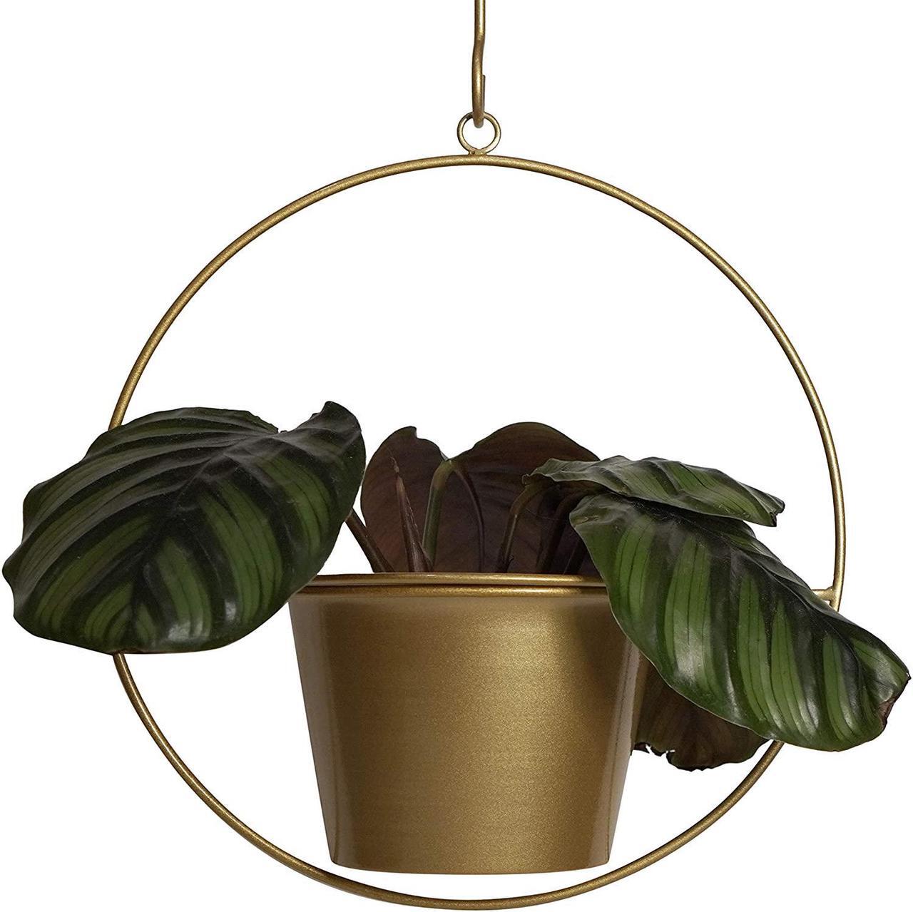 Alt view image 2 of 7 - Plant Hanger 6 Inch Hanging Pot Wall Planters Indoor Hanging Planter - Gold