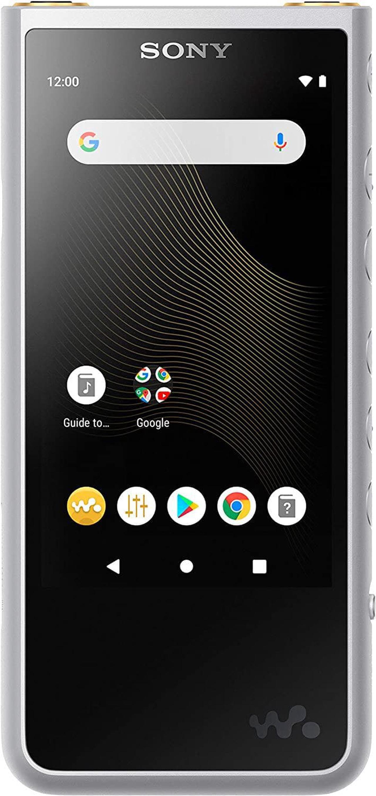 Main image of Sony - Walkman NW-ZX507 Hi-Res 64GB* MP3 Player - Silver