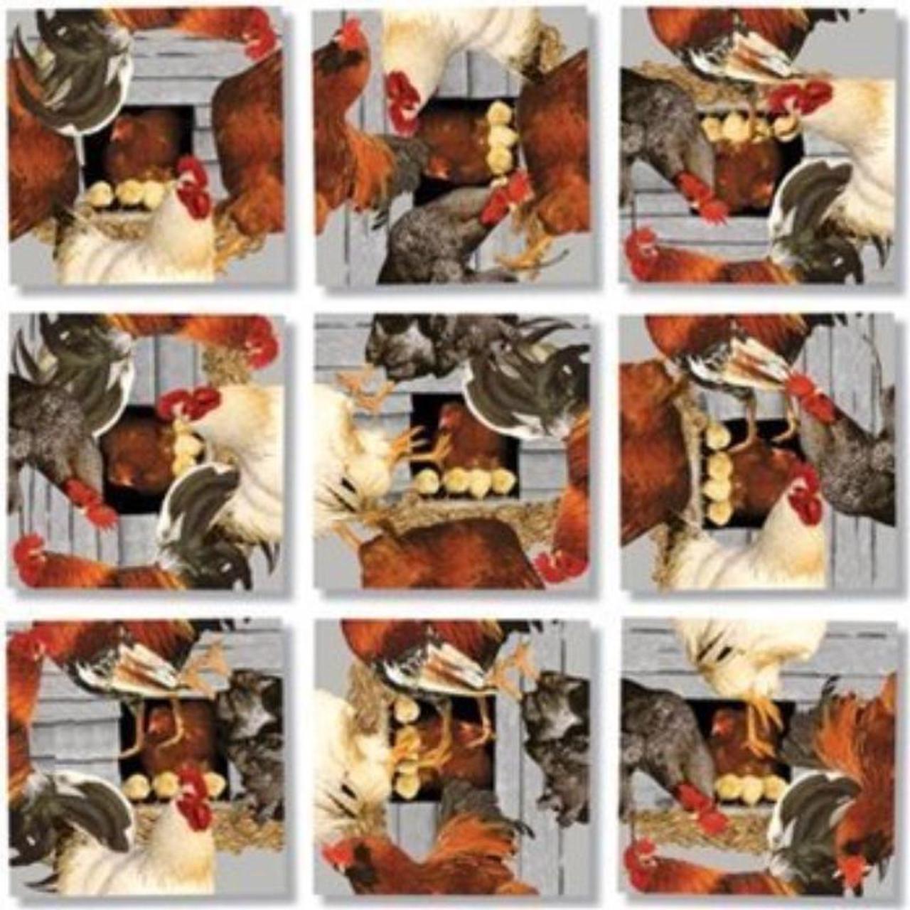 Main image of B Dazzle Roosters Scramble Squares 9 Piece Puzzle