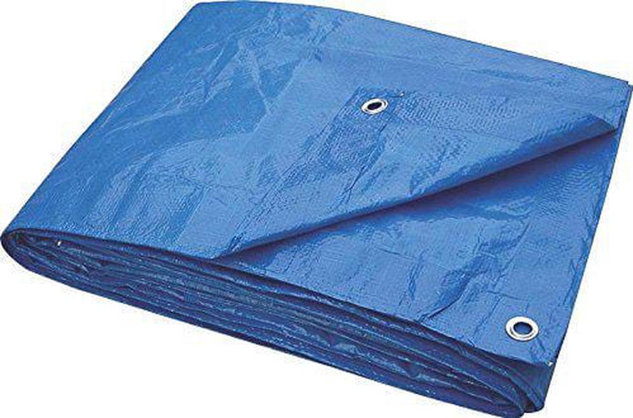 TOOLBASIX T1012BB70 Light Duty Tarp, 10-Feet x 12-Feet, Blue