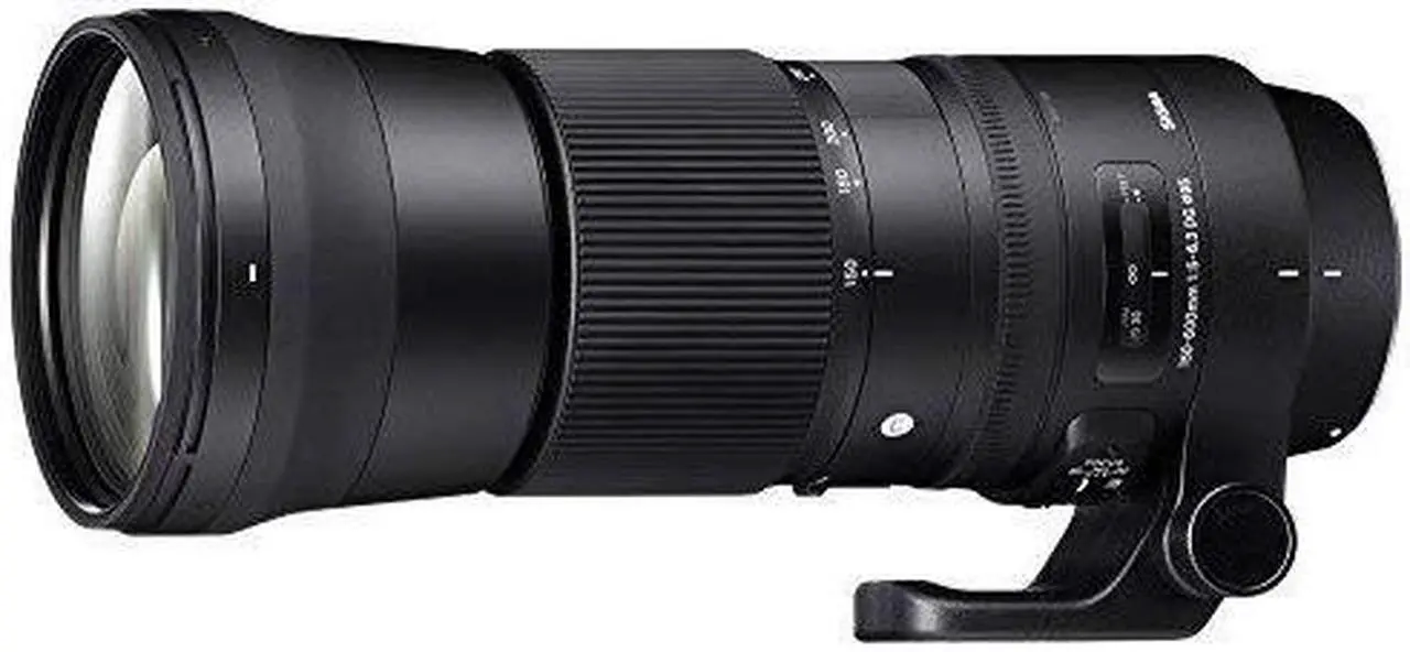 Alt view image 11 of 12 - Sigma 745-306 150-600mm f/5-6.3 DG OS HSM Contemporary Lens for Nikon F - International Version (No Warranty)