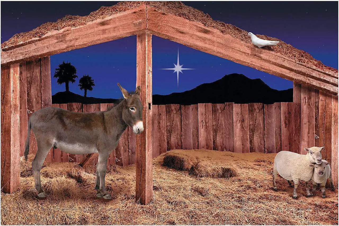 Nativity Stable Scene Backdrop Banner (9 feet long) Christmas Party Decor
