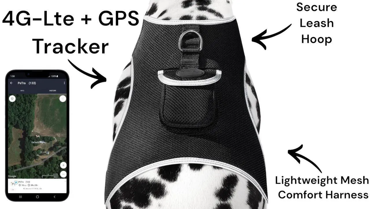 Main image of Pet Tracker Mini Rechargeable Gsm Gps Tracking Device For Cats W/ Mobility Detector Size:Xl