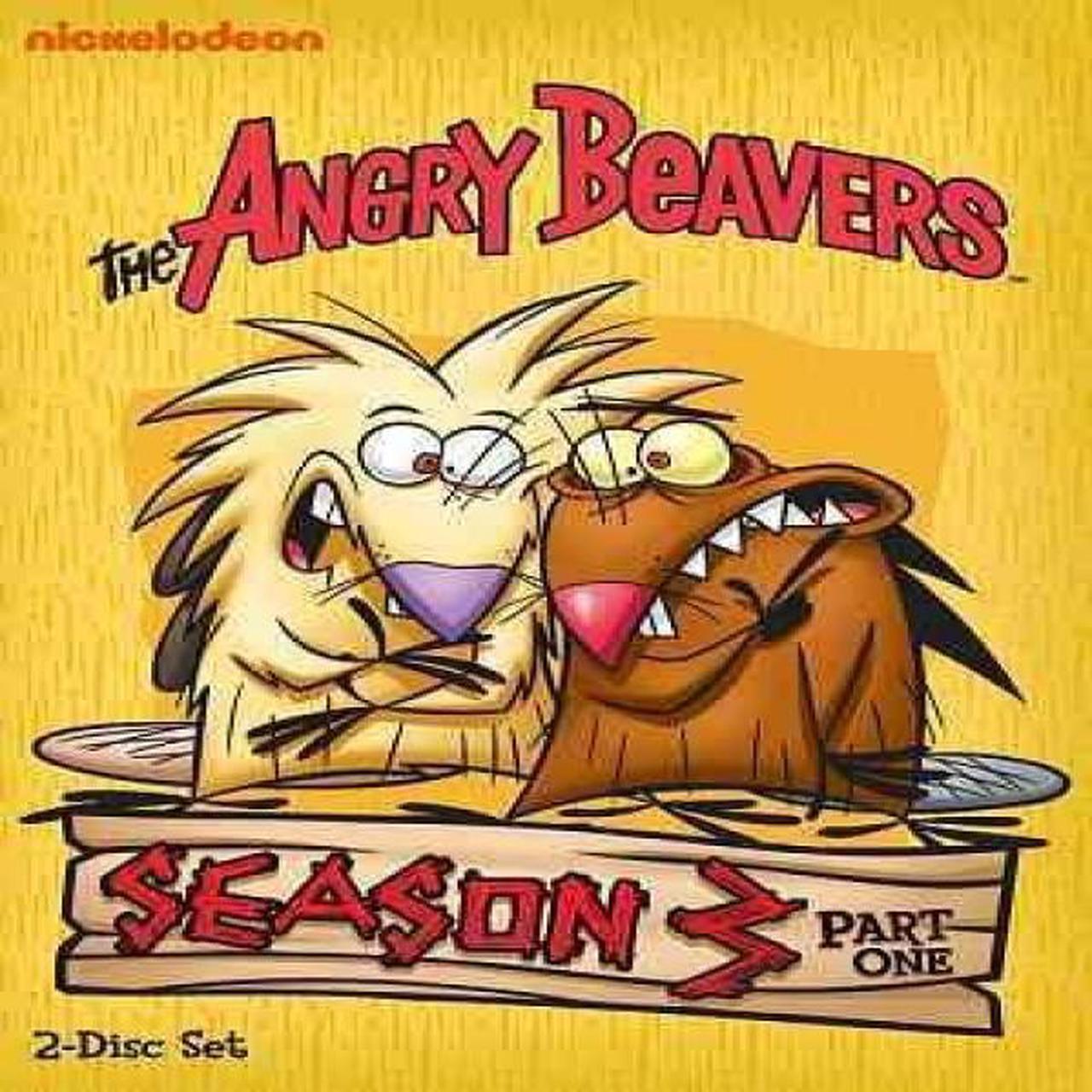 Alt view image 2 of 3 - Angry Beavers: Season 3, Part One [2 Discs]