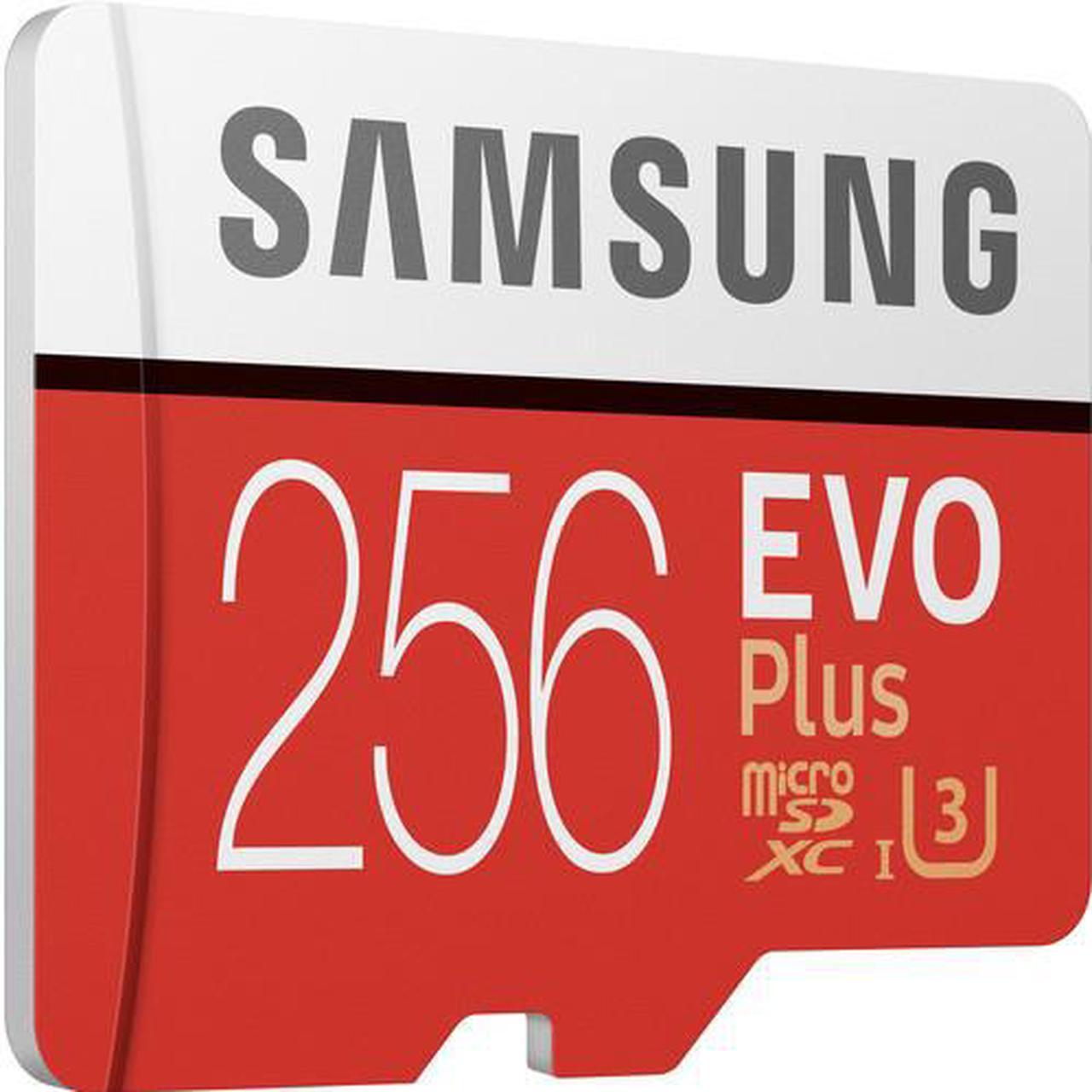 Main image of Samsung EVO Plus 256 GB microSDXC - Class 10/UHS-I (U3) - 100 MB/s Read - 90 MB/s Write