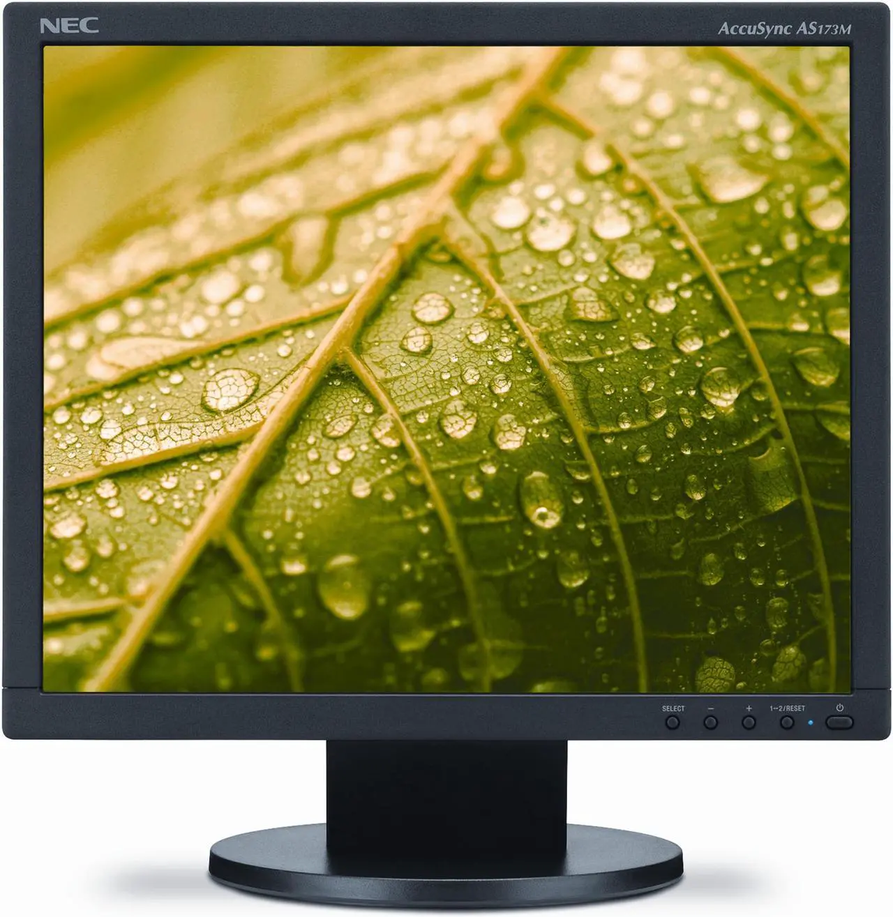 Main image of NEC Display Solutions AS173M-BK 17" SXGA 1280 x 1024 D-Sub, HDMI, DisplayPort Monitor