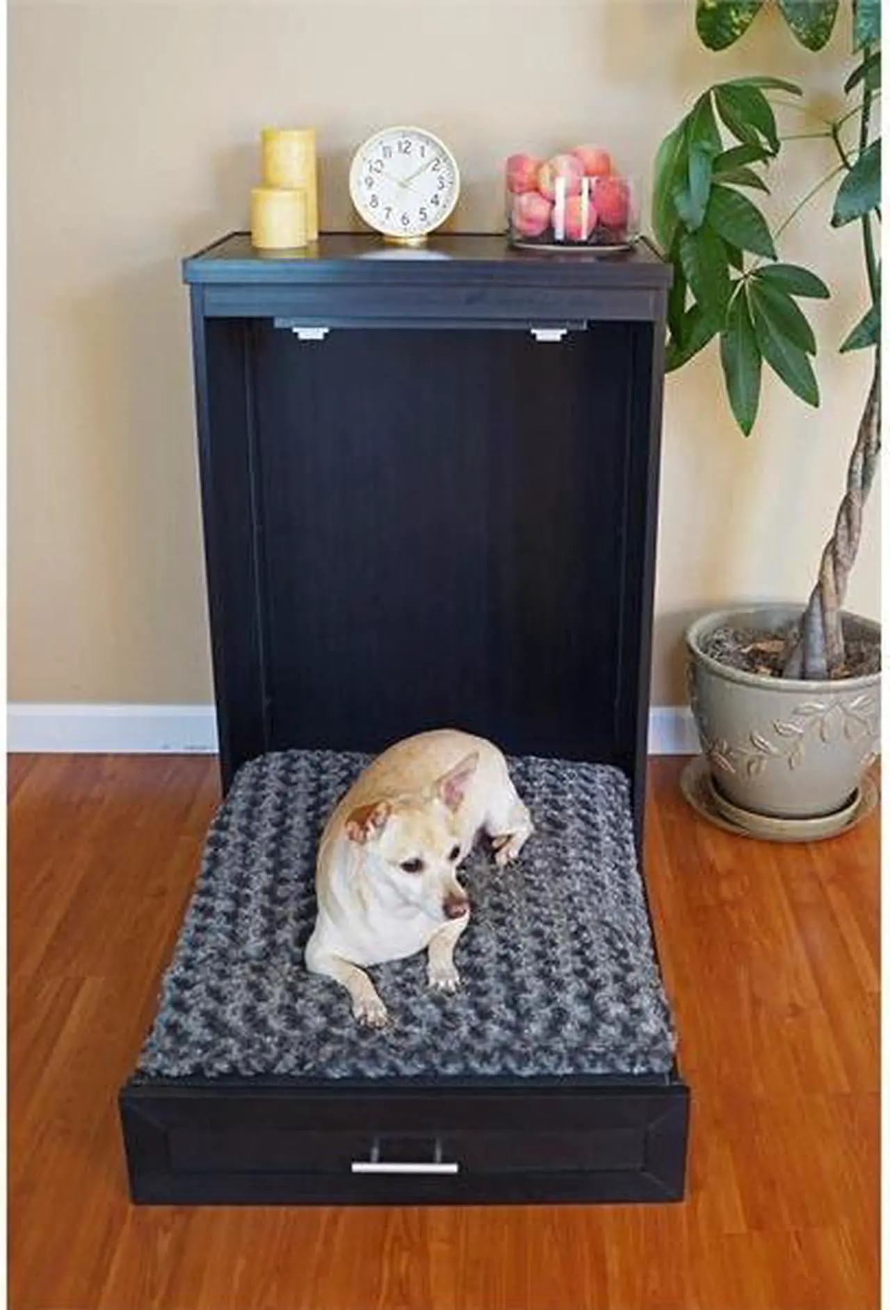 Alt view image 2 of 4 - NEW AGE PET EHMB822 Abigail Murphy Bed Expresso