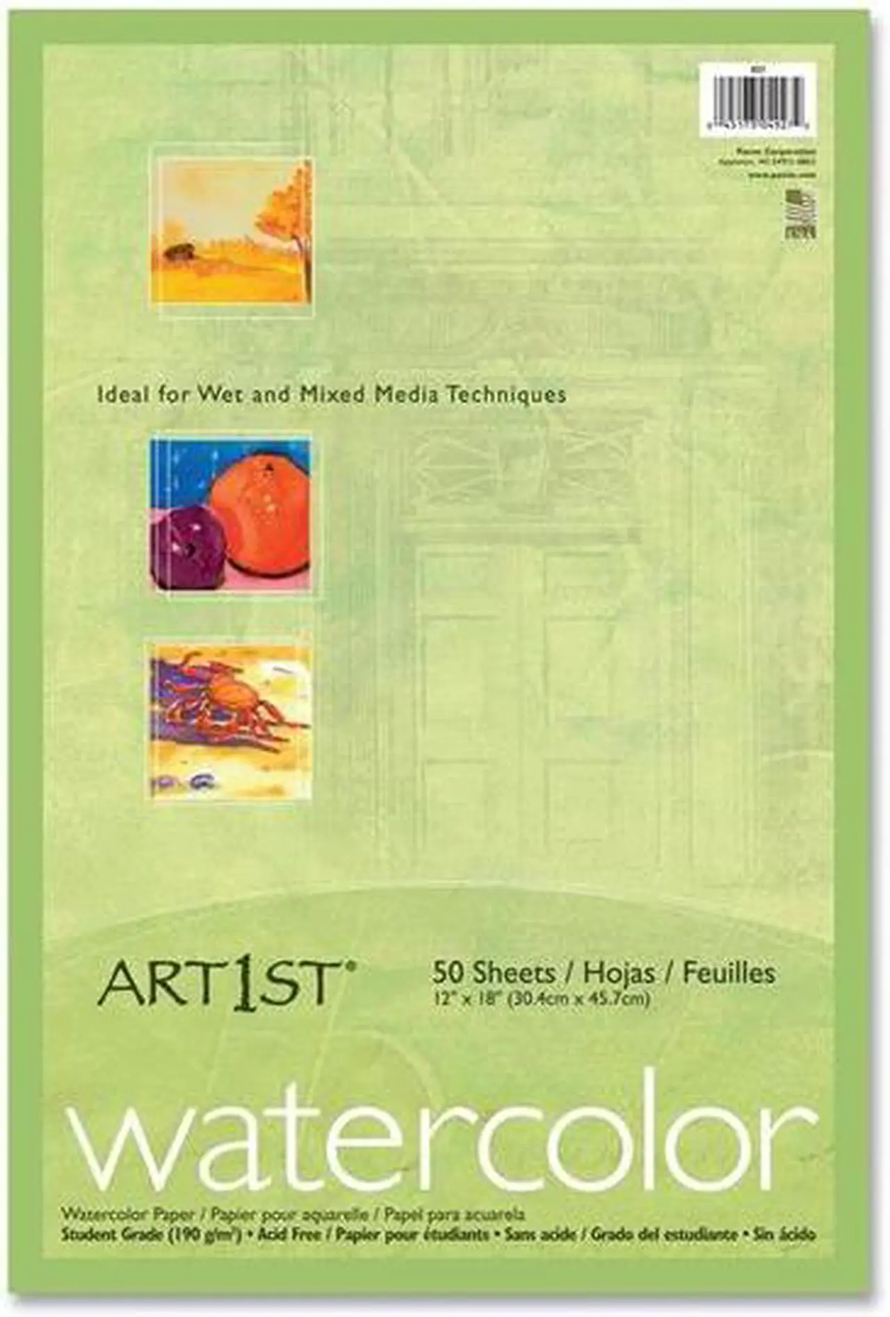 Main image of Art1st 4927 Fine Art Paper 12" x 18" - Recycled - Vellum - 50 / Pack - White