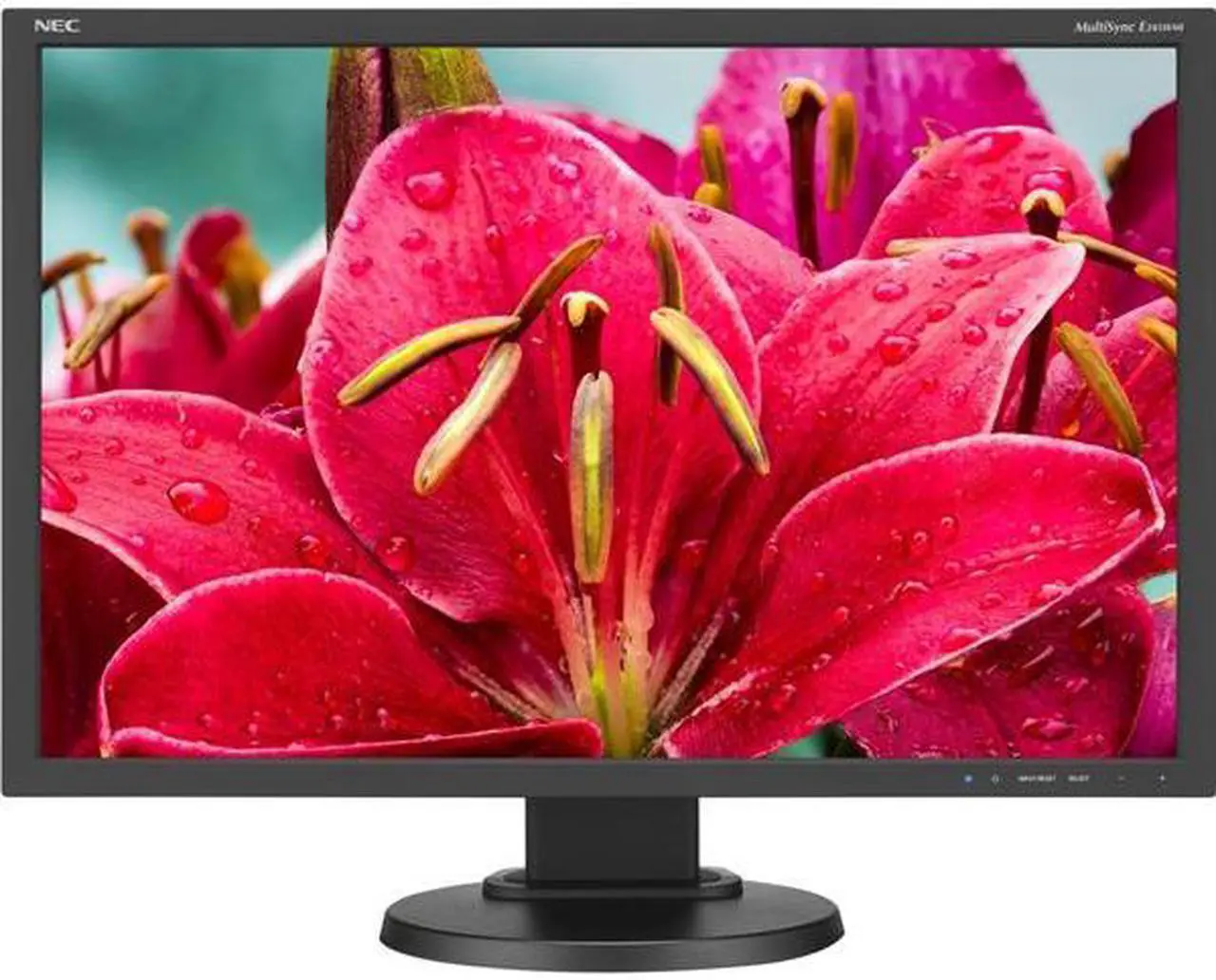 Alt view image 4 of 14 - NEC Display Solutions 24" E245WMI-BK MultiSync Professional Monitor IPS 1920 x 1200, 1000:1 contrast, DisplayPort, DVI-D, VGA, Height & Tilt Adjust, VESA Mountable