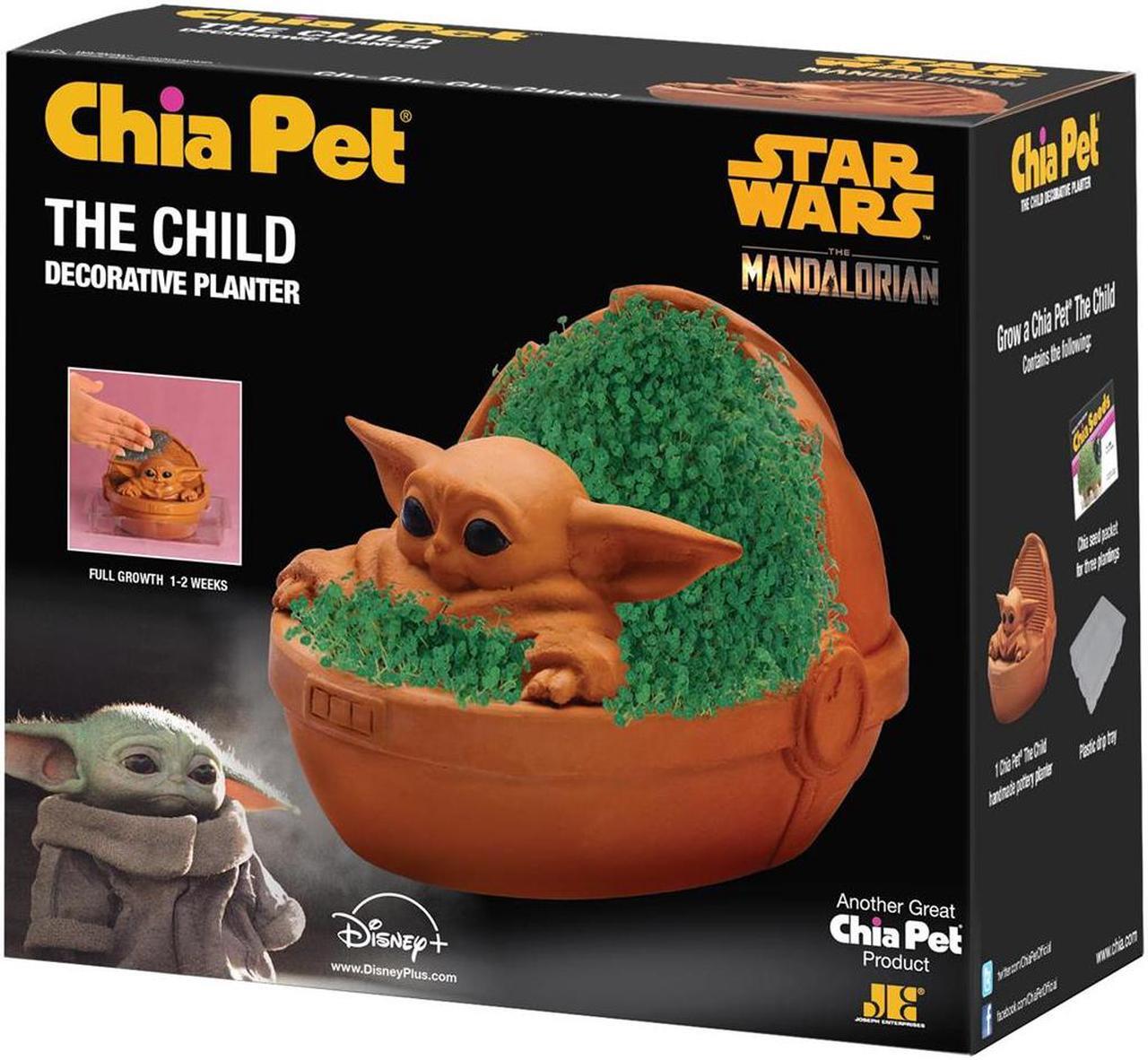 Alt view image 4 of 4 - Chia Pet Planter - Star Wars Yoda the Child