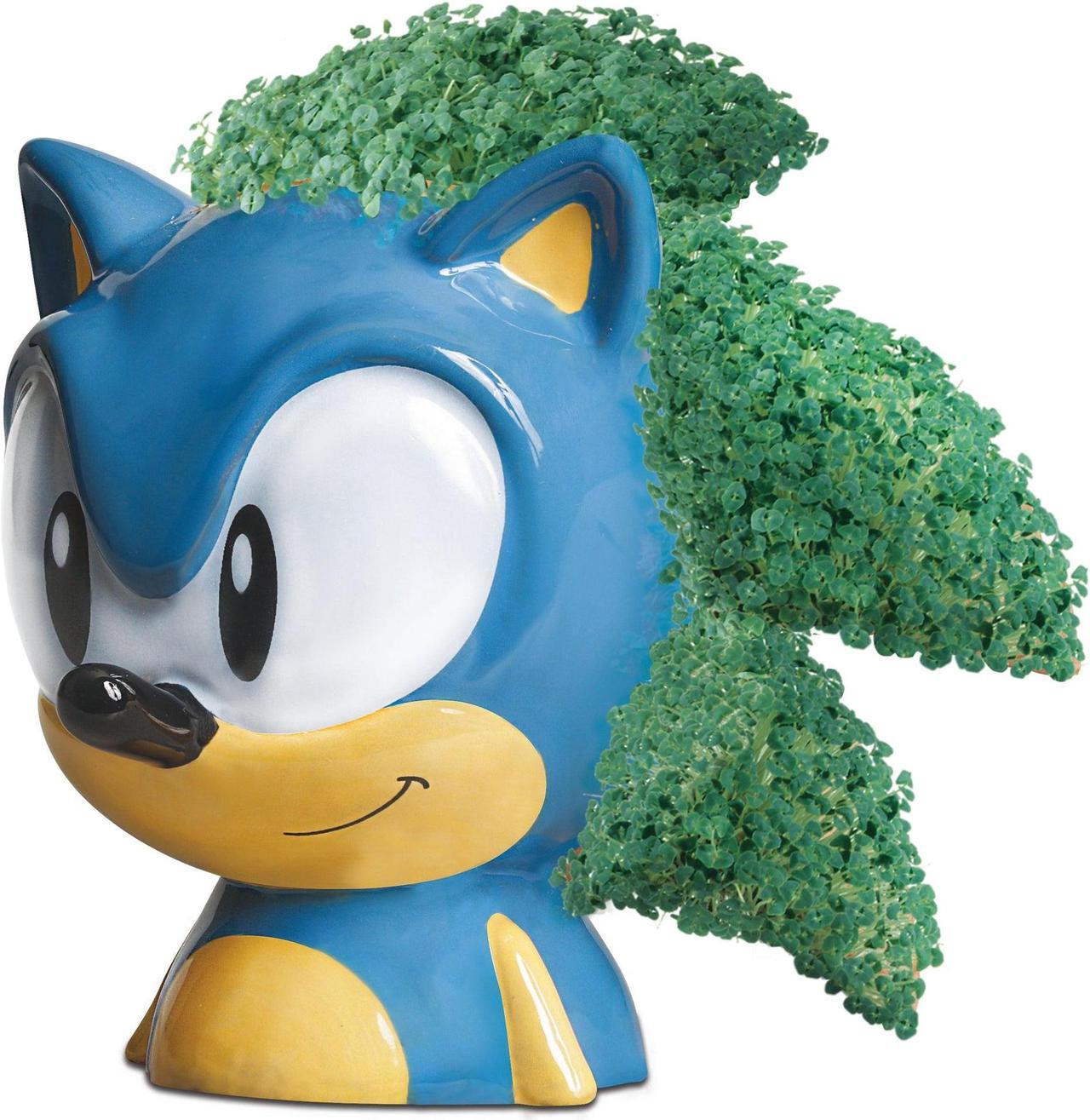Alt view image 3 of 5 - Chia Pet Planter - Sonic the Hedgehog