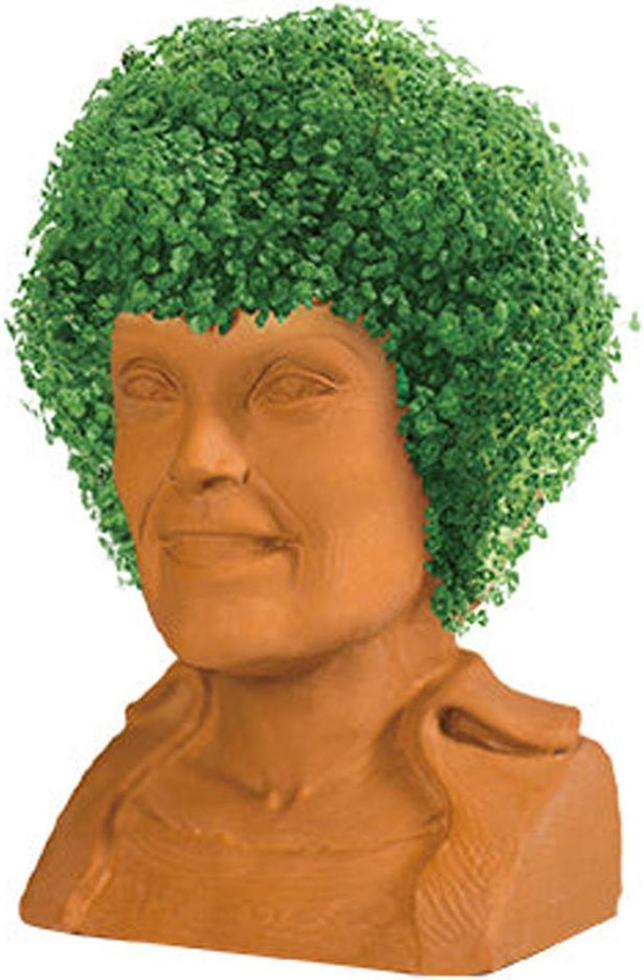 Alt view image 7 of 9 - Golden Girls Chia Pet Blanche Decorative Pottery Planter