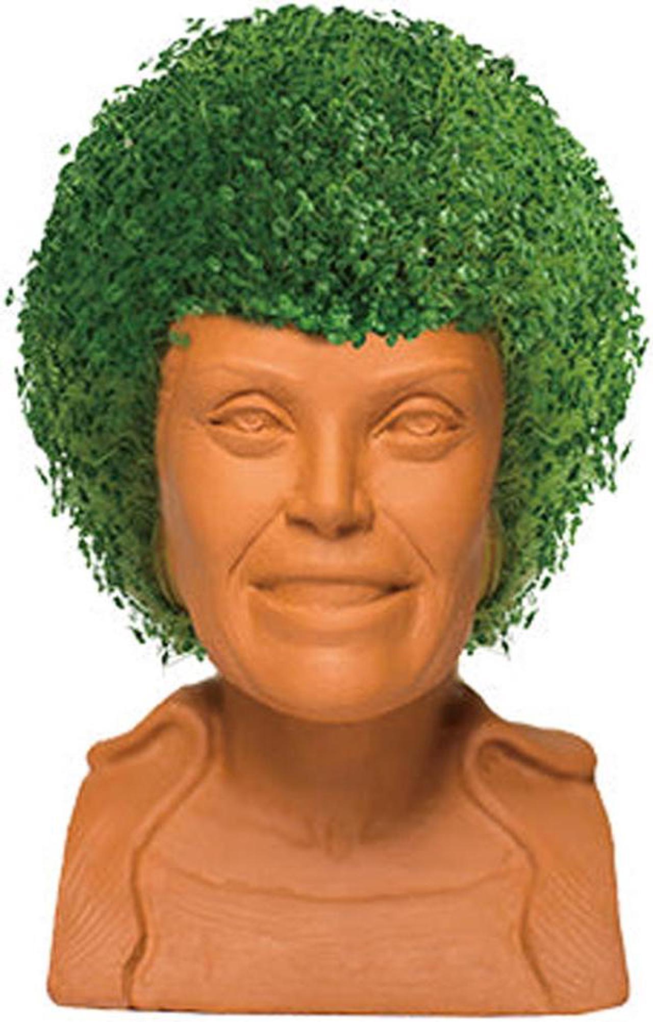 Alt view image 8 of 9 - Golden Girls Chia Pet Blanche Decorative Pottery Planter