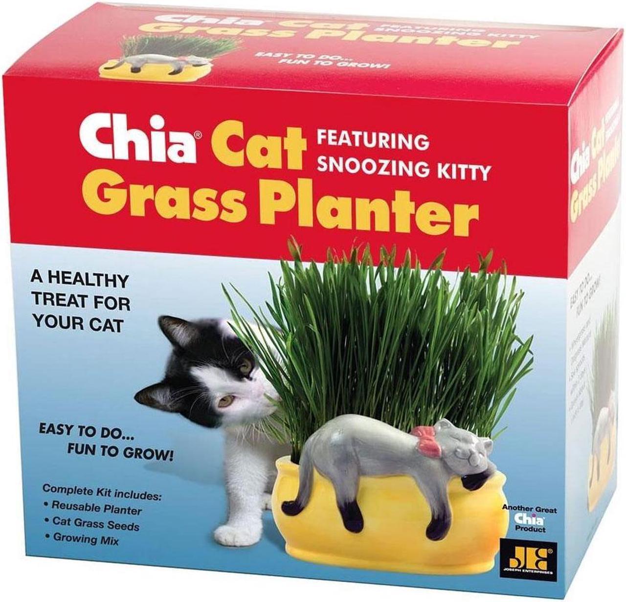 Alt view image 2 of 6 - Chia Pet Planter - Cat Grass Snoozy Kitty