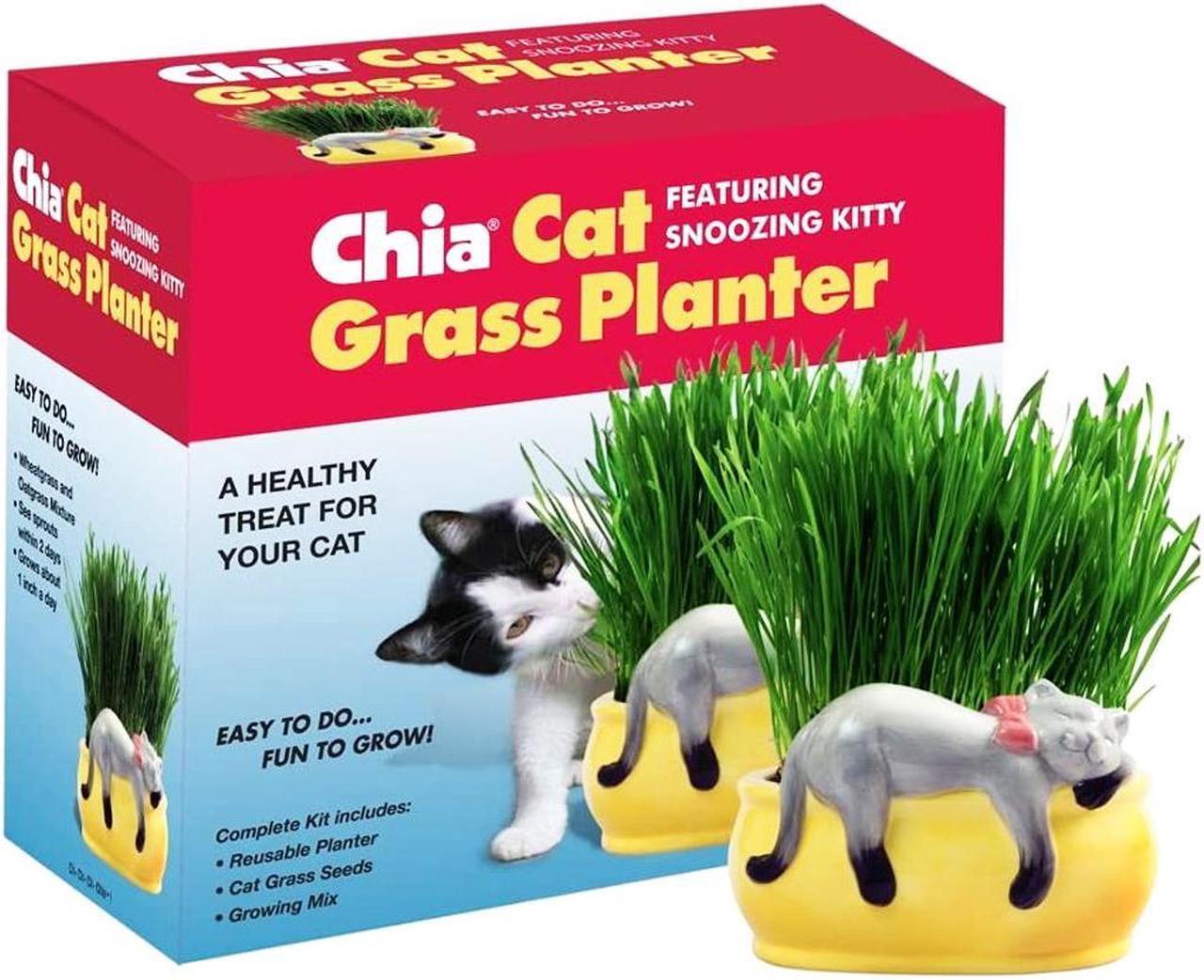 Alt view image 4 of 6 - Chia Pet Planter - Cat Grass Snoozy Kitty