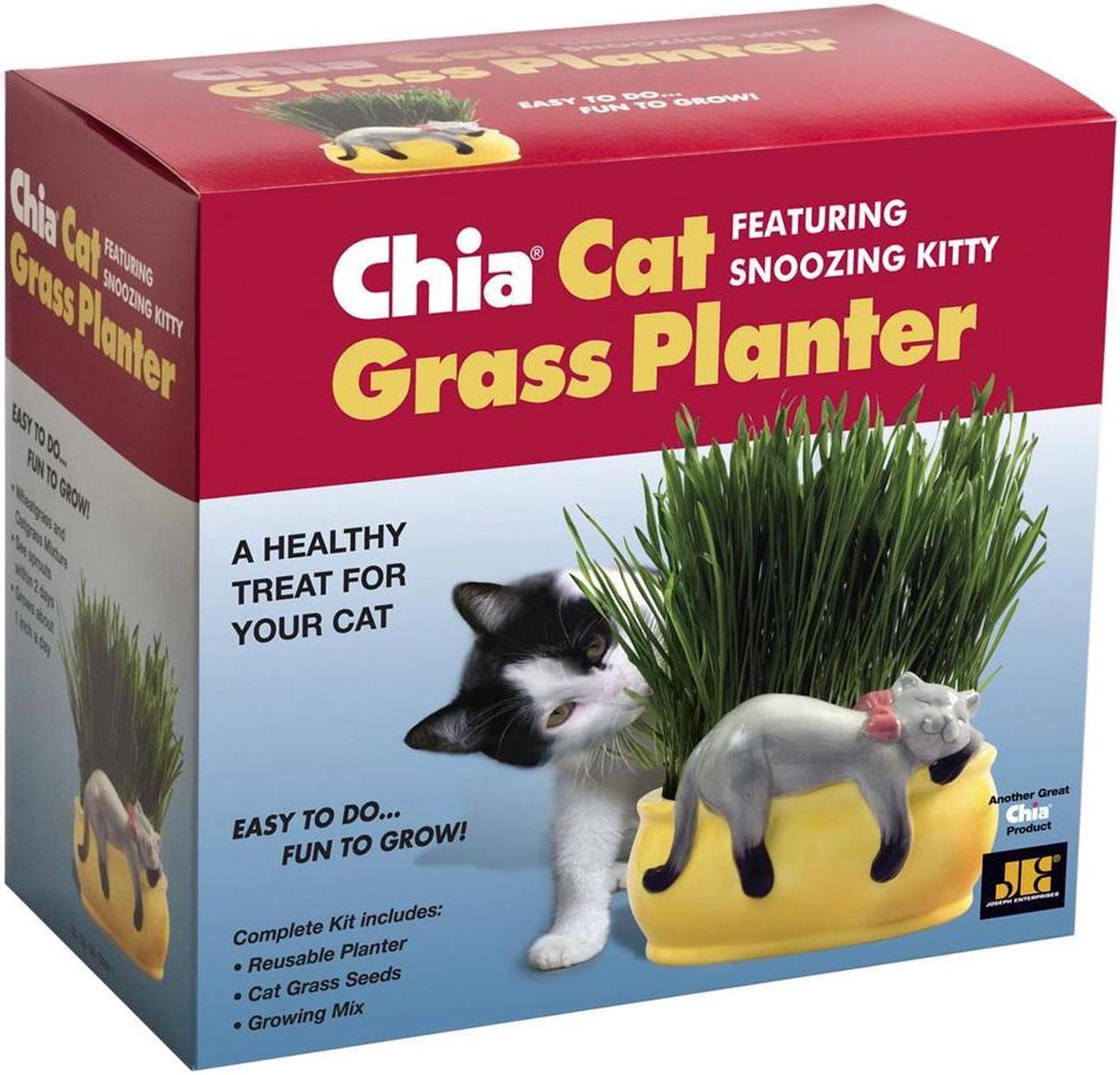 Main image of Chia Pet Planter - Cat Grass Snoozy Kitty