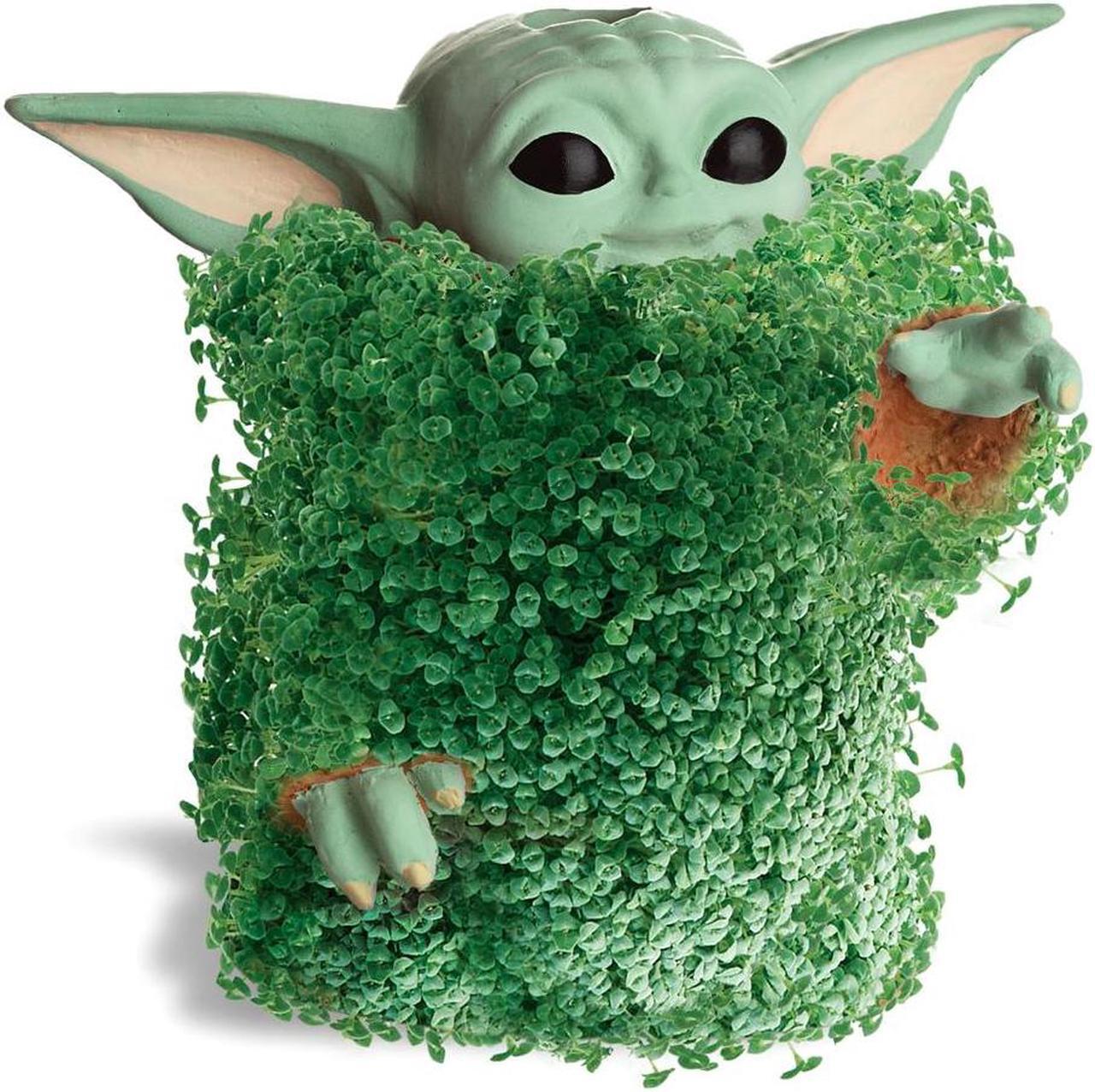 Alt view image 5 of 7 - Chia Pet Planter - Star Wars Yoda the Child using The Force