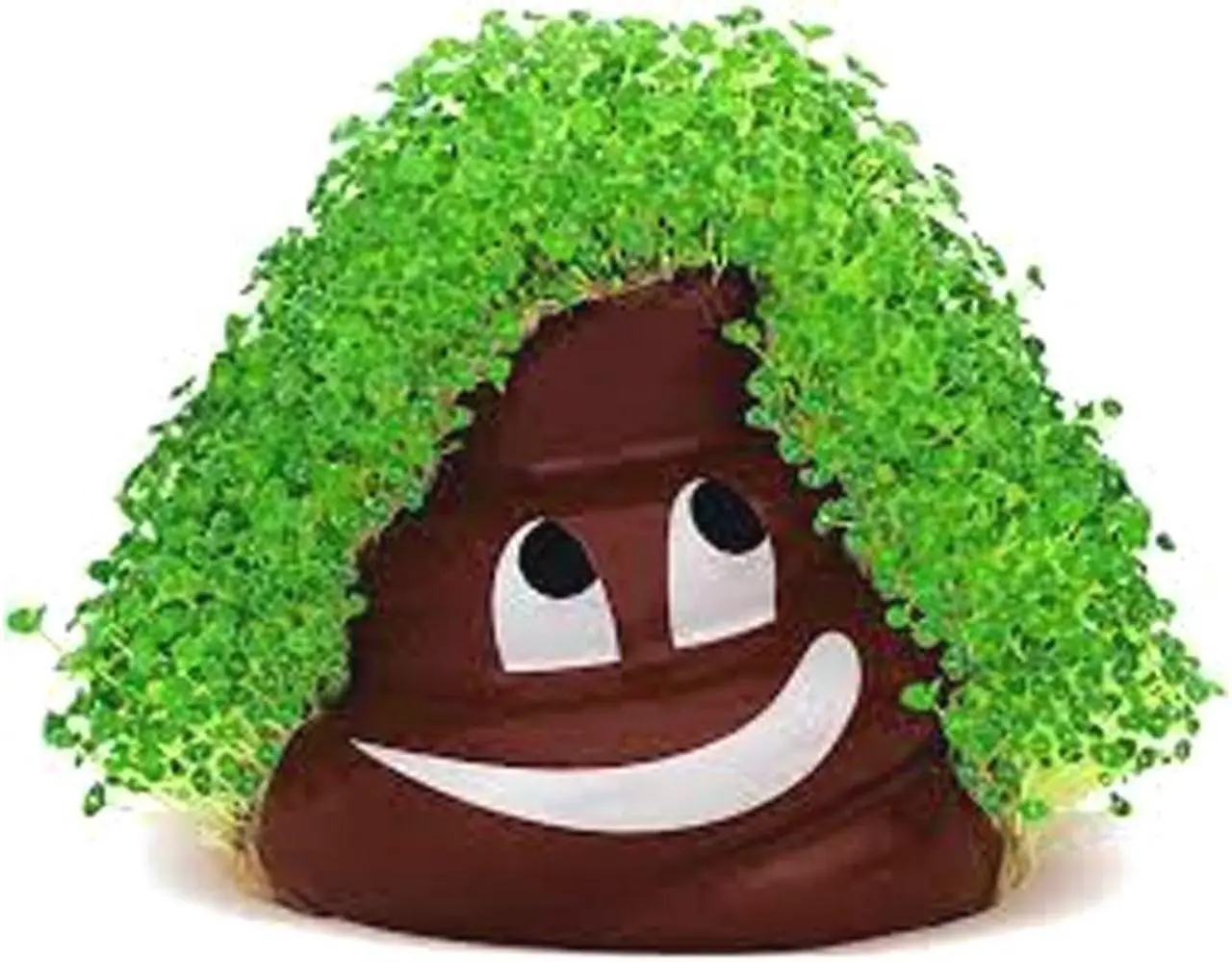 Alt view image 4 of 6 - Chia Pet Emoji Poopy with Seed Pack, Decorative Pottery Planter, Easy to Do and Fun to Grow, Novelty Gift, Perfect for Any Occasion