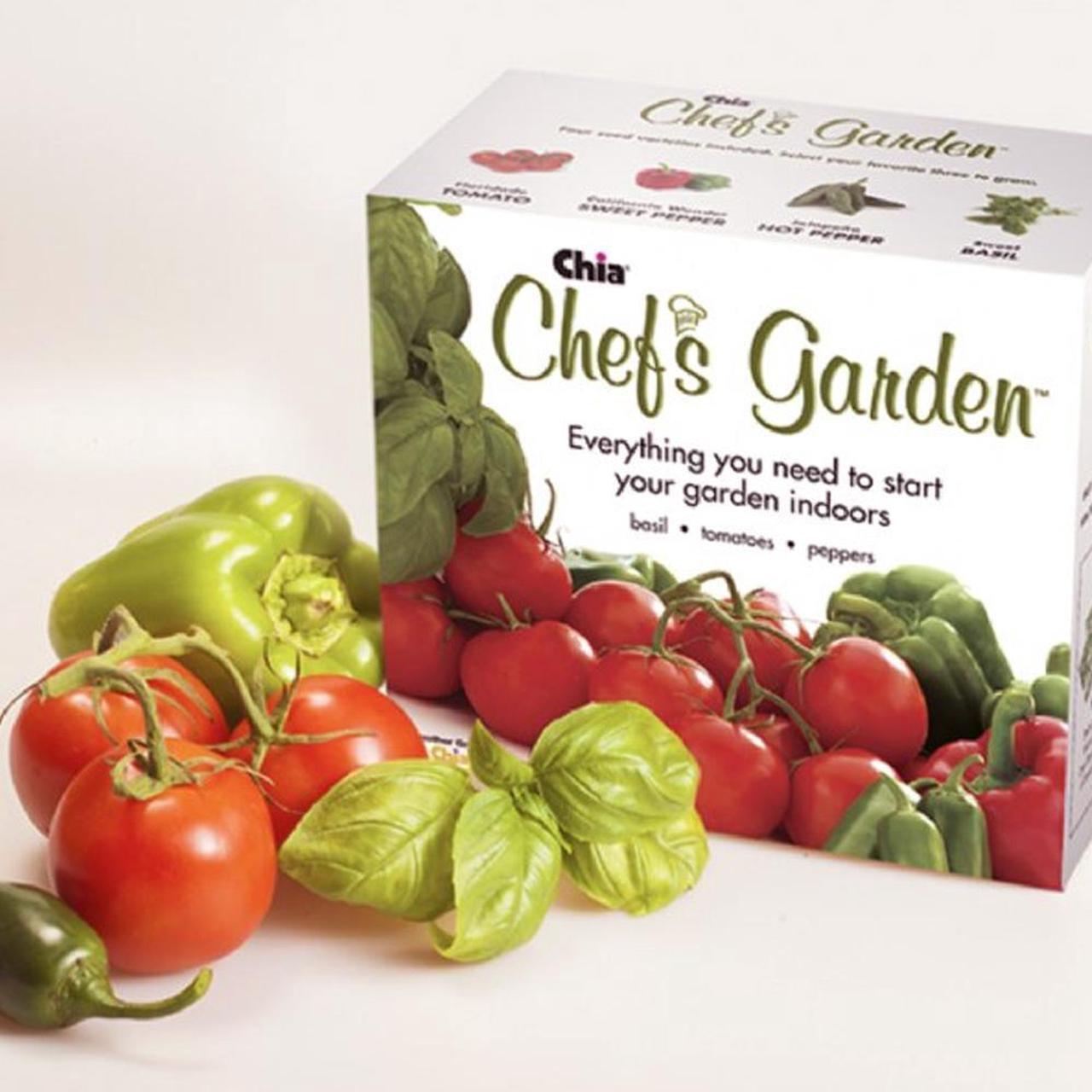 Alt view image 2 of 4 - Chia Chef's Garden Planter