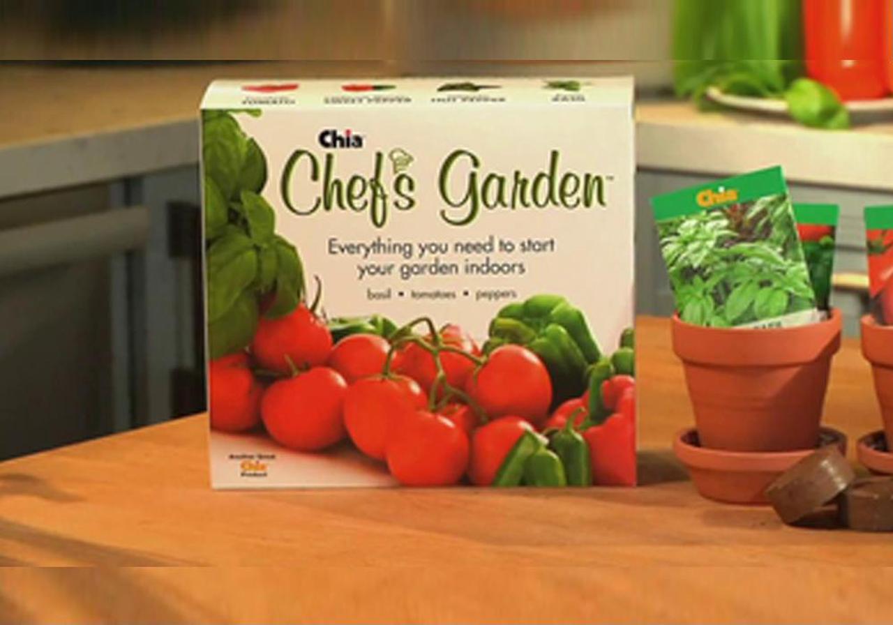 Alt view image 4 of 4 - Chia Chef's Garden Planter