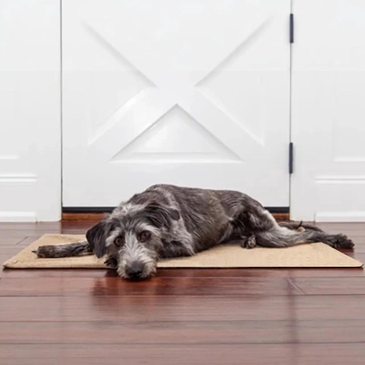 Alt view image 3 of 5 - Easy to Clean Cozy Pet Mat - Large - 39" x 27"