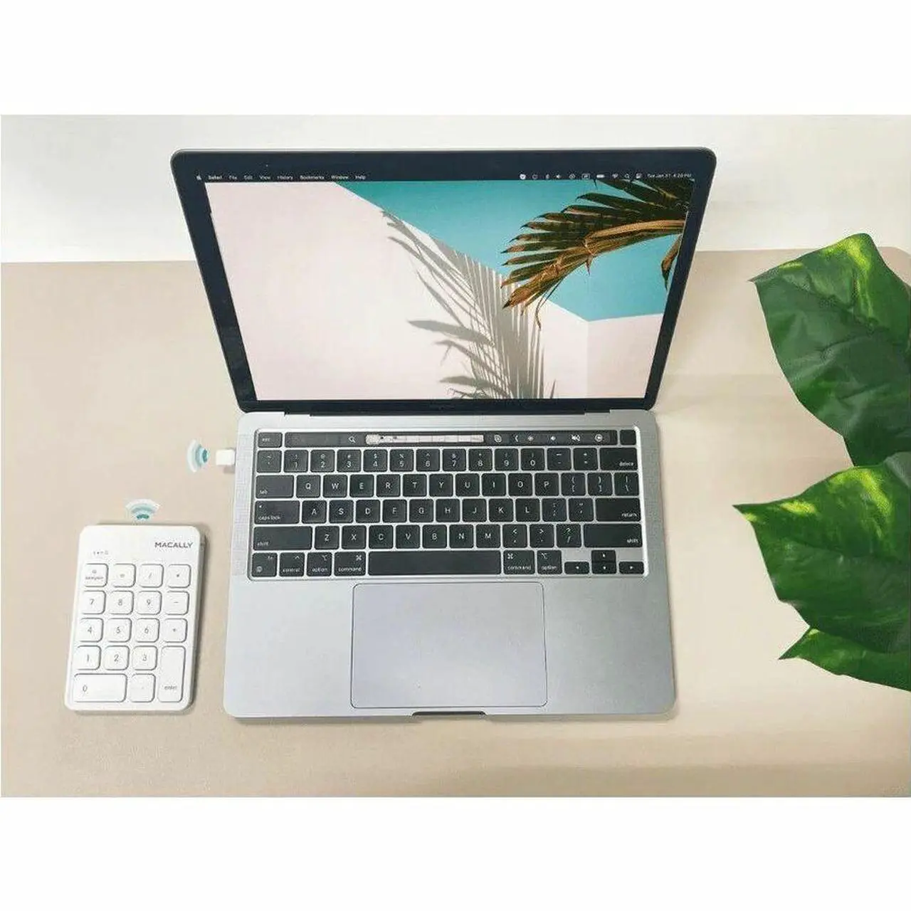 Alt view image 5 of 5 - Macally keypad - Wireless Connectivity - RF - 2.40 GHz - USB Type C Interface - 18 Key(s) - MacBook, Chromebook, Computer, MacBook Pro - PC, Mac - Scissors Keyswitch
