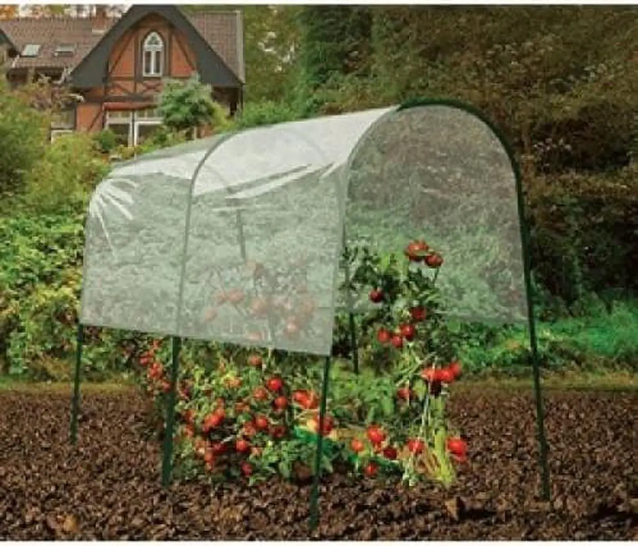 Main image of GARDMAN 7623 Tomato Greenhouse