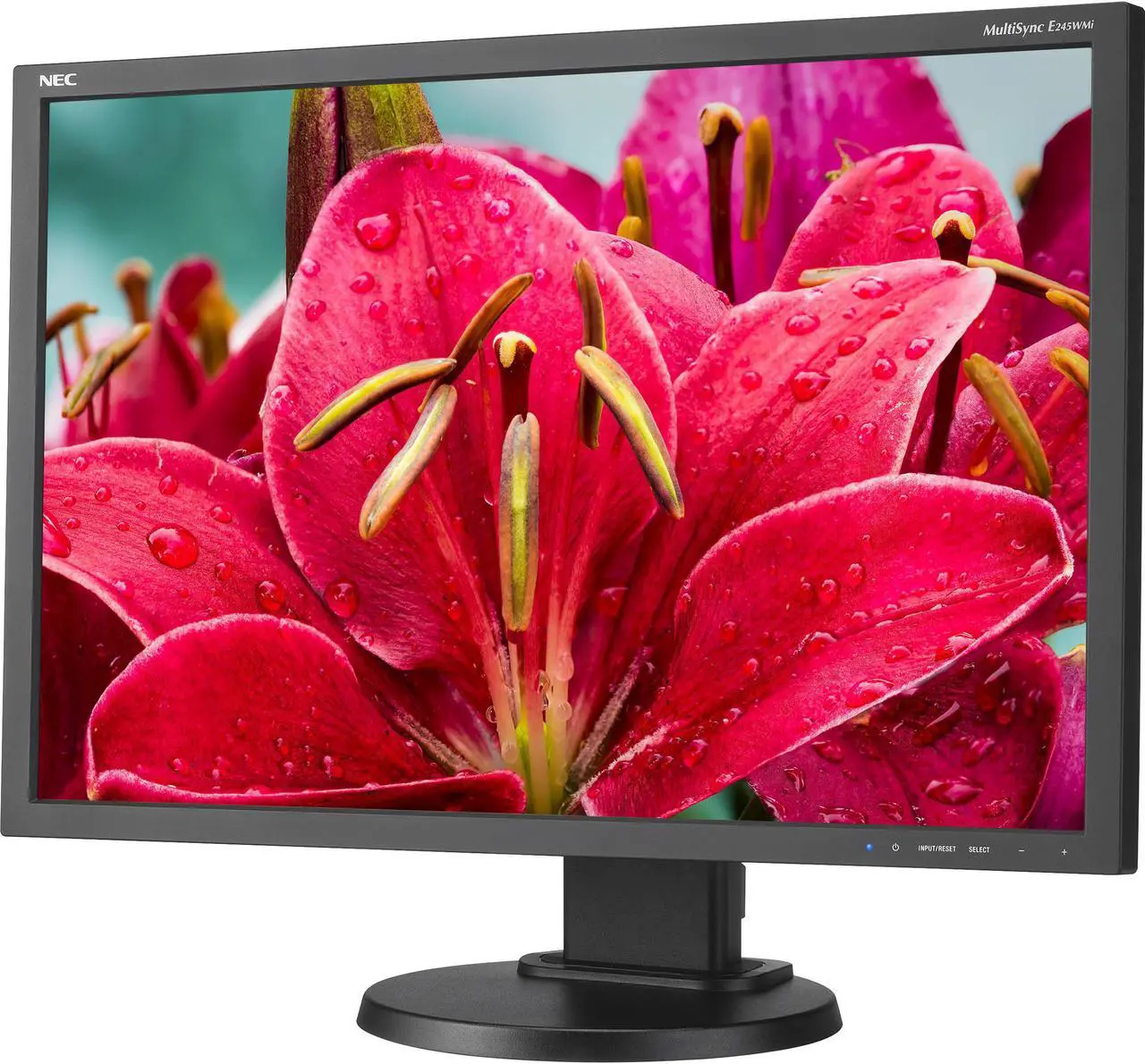 Alt view image 5 of 14 - NEC Display Solutions 24" E245WMI-BK MultiSync Professional Monitor IPS 1920 x 1200, 1000:1 contrast, DisplayPort, DVI-D, VGA, Height & Tilt Adjust, VESA Mountable