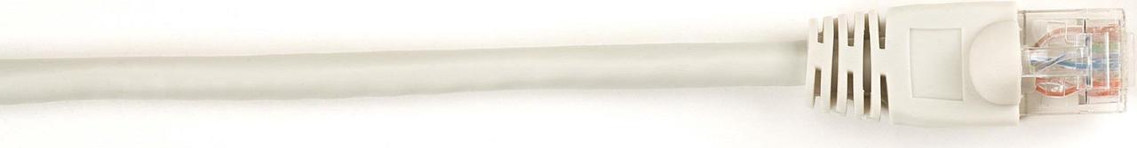 Main image of Black Box CAT6PC-003-WH Black Box CAT6 Value Line Patch Cable, Stranded, White, 3-ft. (0.9-m) - Category 6 for Network Device - Patch Cable - 3 ft - 1 Pack - 1 x RJ-45 Male Network - 1 x RJ-45 Male
