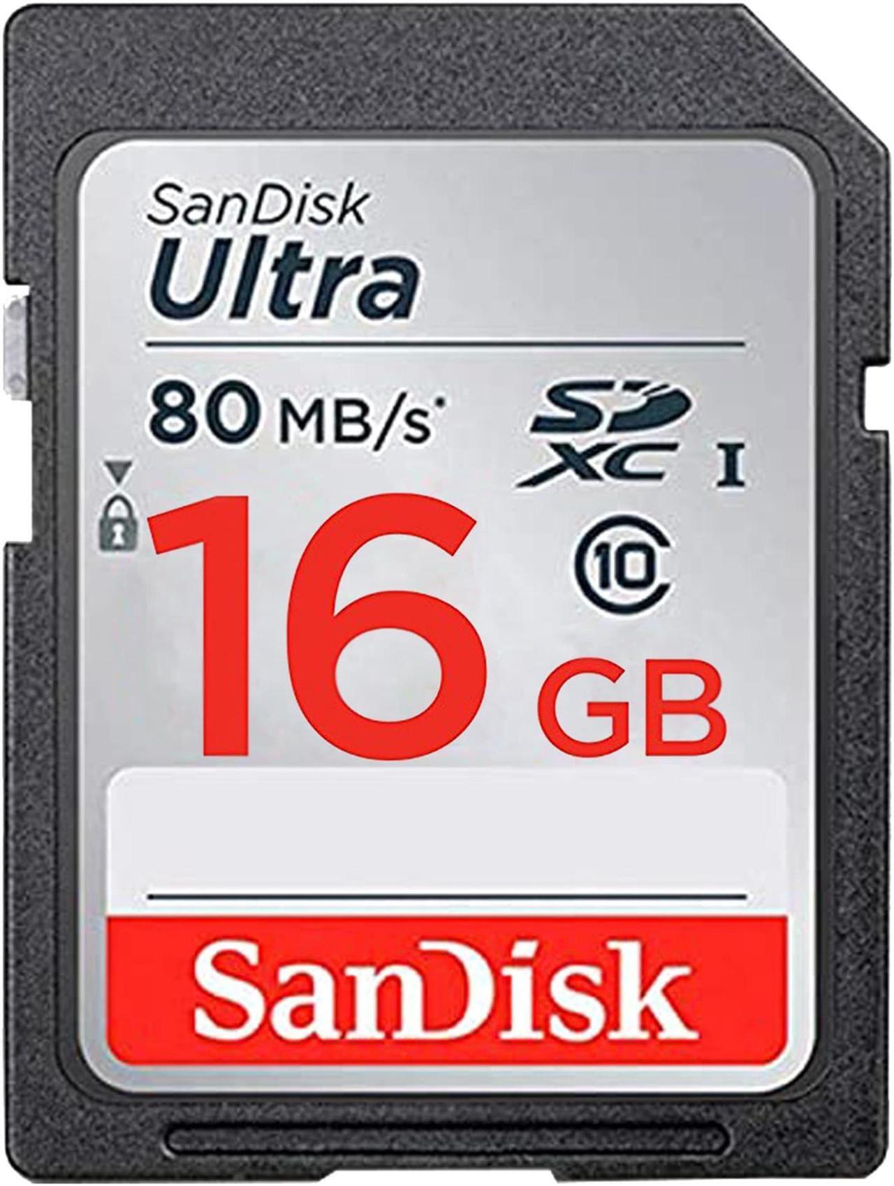 Alt view image 2 of 3 - SanDisk Ultra 16GB Class 10 SD Memory Card Bundle with Portable Security Case
