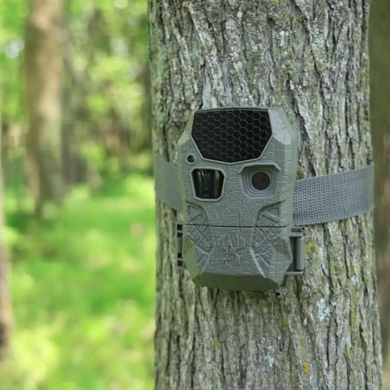 Alt view image 5 of 6 - Wildgame Innovations Kicker 2.0 Lightsout Trail Camera with 18MP Resolution and 720p Video Capture (4-Pack) Bundle with All-in-One Card Reader and 32GB Memory Card (4-Pack) (9 Items)