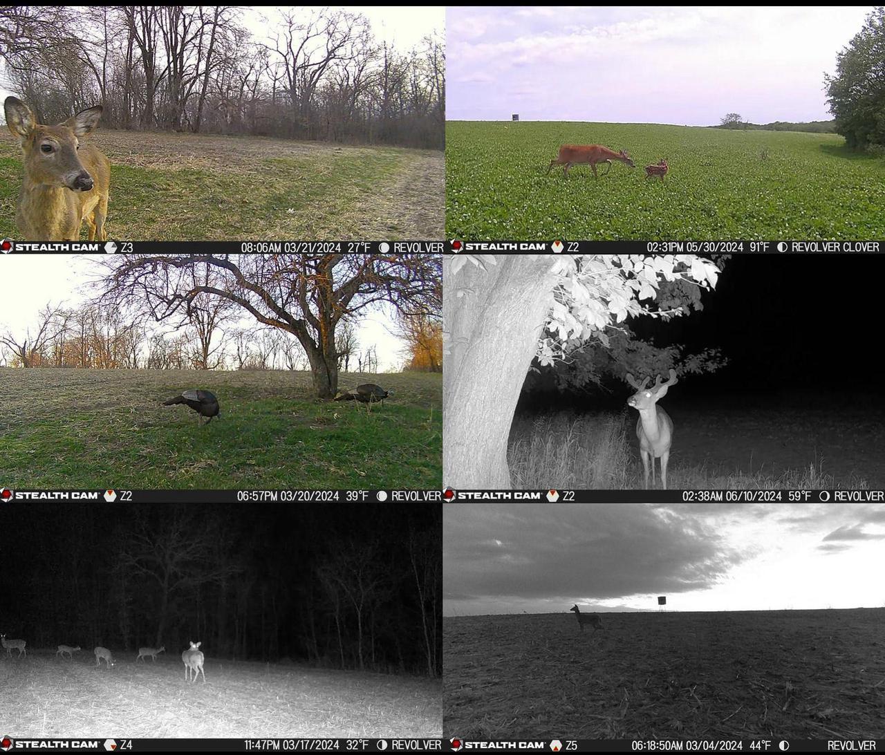 Alt view image 6 of 6 - Stealth Cam Revolver 36MP 360 Degree Cellular Trail Camera 10-Pack with Ten 32GB Memory Cards and a Card Reader (20 Items)
