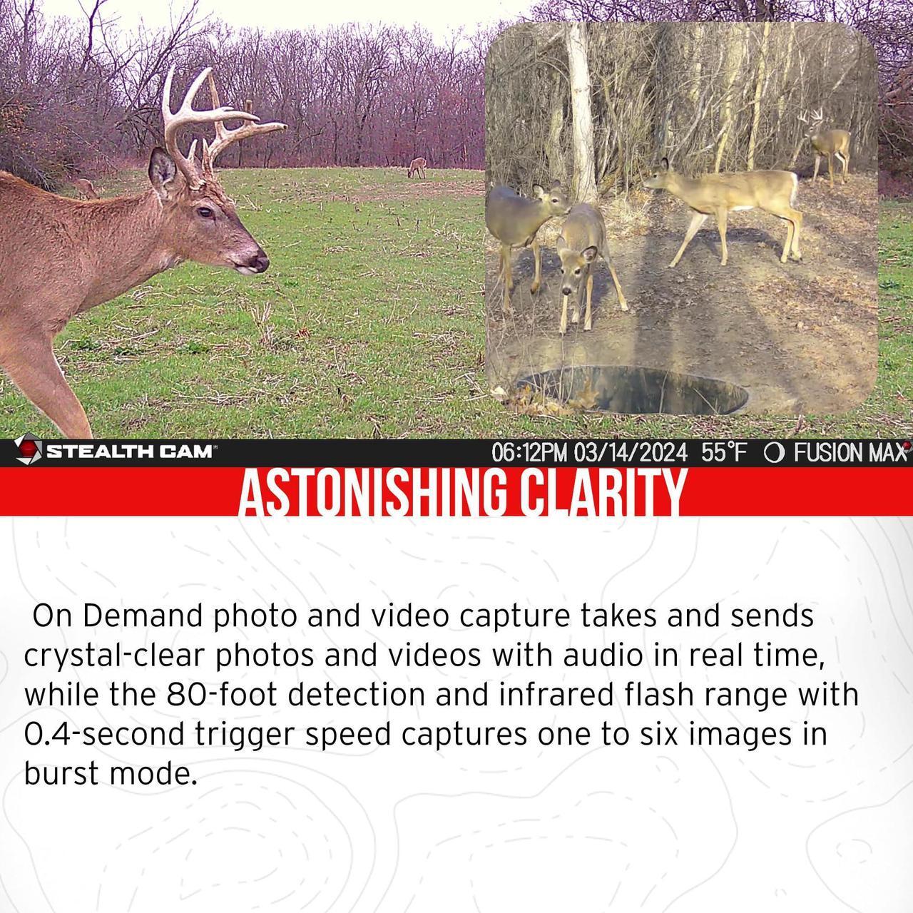 Alt view image 3 of 7 - Stealth Cam 36MP Fusion Max Cellular Trail Camera (2-Pack) x 6 Bundle with Economy Trail Camera Holder (12-Pack), 4-In-1 Card Reader, and 32GB Ultra SDHC UHS-I Memory Card (12-Pack) (31 Items)