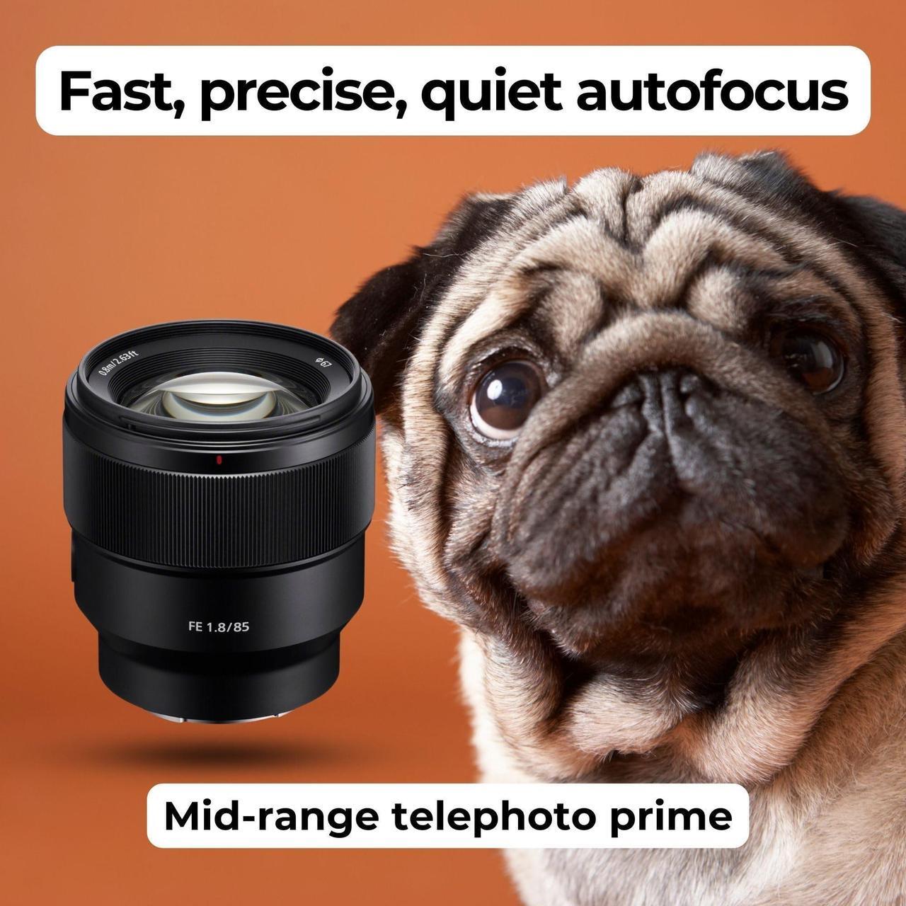 Alt view image 4 of 7 - Sony FE 85mm f/1.8 Prime E-Mount Lens for Crystal Clear Portraits - Fast Autofocus Bundle with Editing Software, 64GB Memory Card, Lens Mug, Memory Card Storage and Card Reader (5 Items)