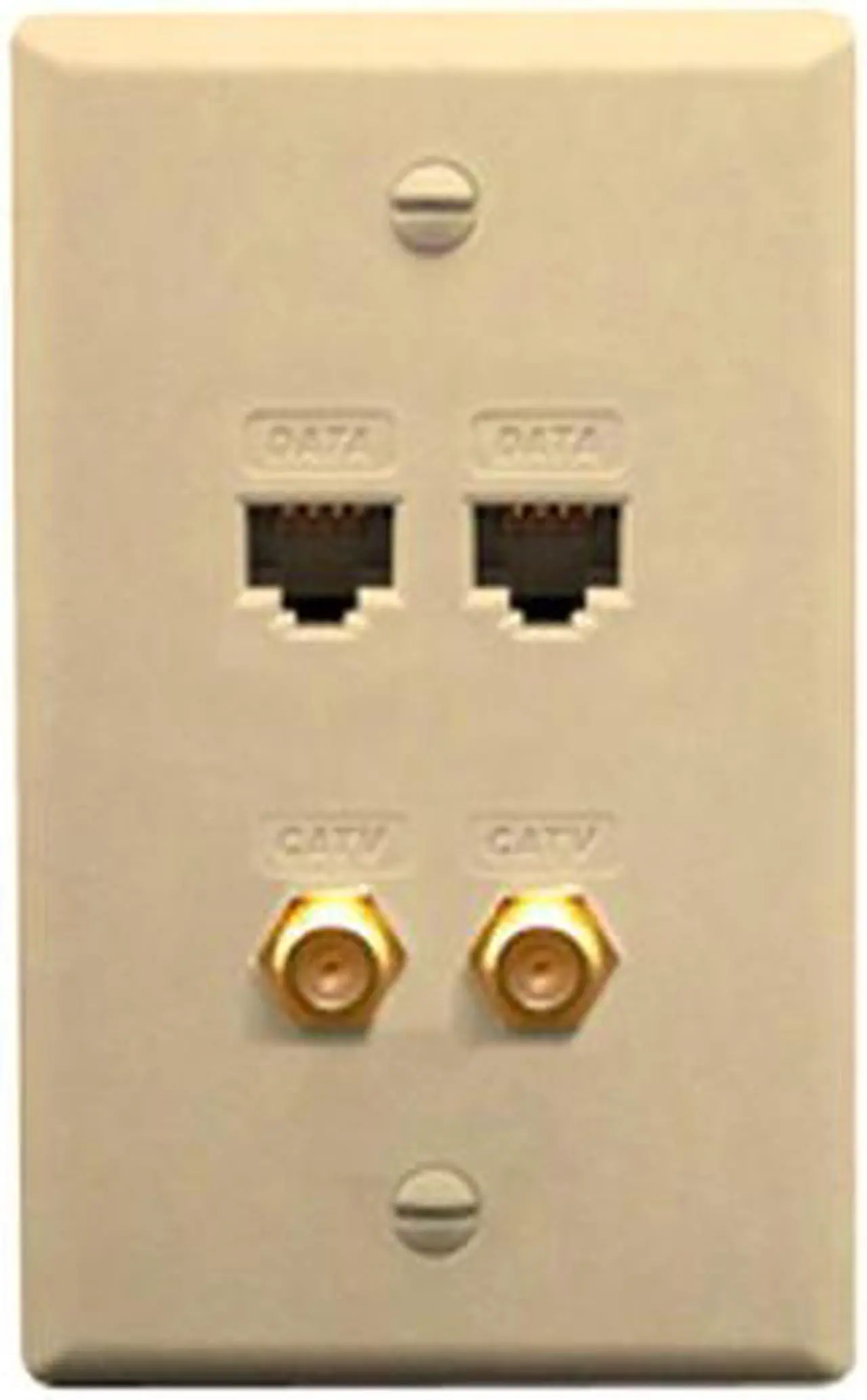 Main image of FACEPLATE IDC 2 DATA and 2 F TYPE IVORY - ICC-ICRDS2F5IV