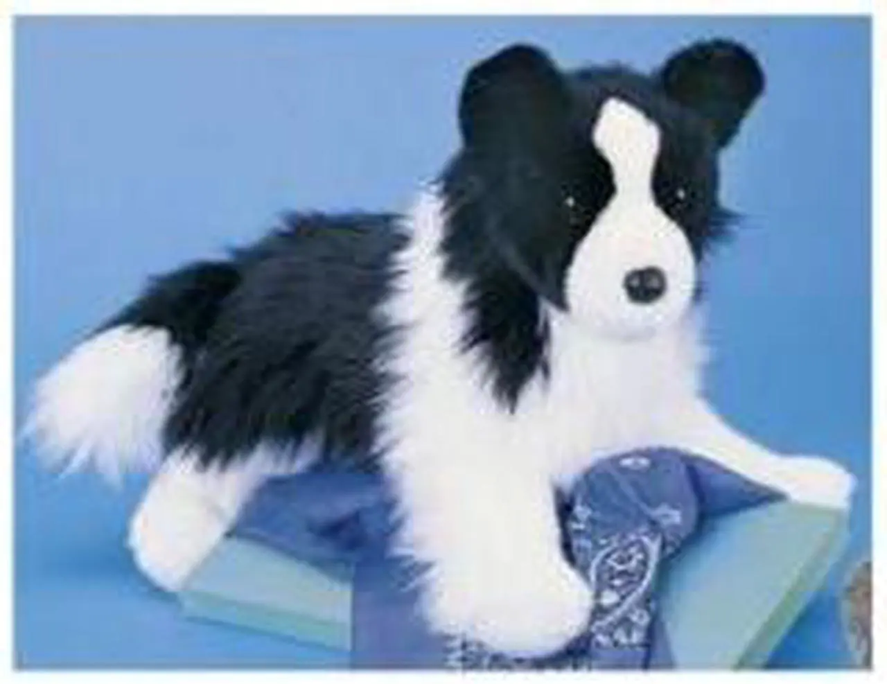 Alt view image 3 of 10 - (NEW) Plush Chase Border Collie 16" by Douglas Cuddle Toys -