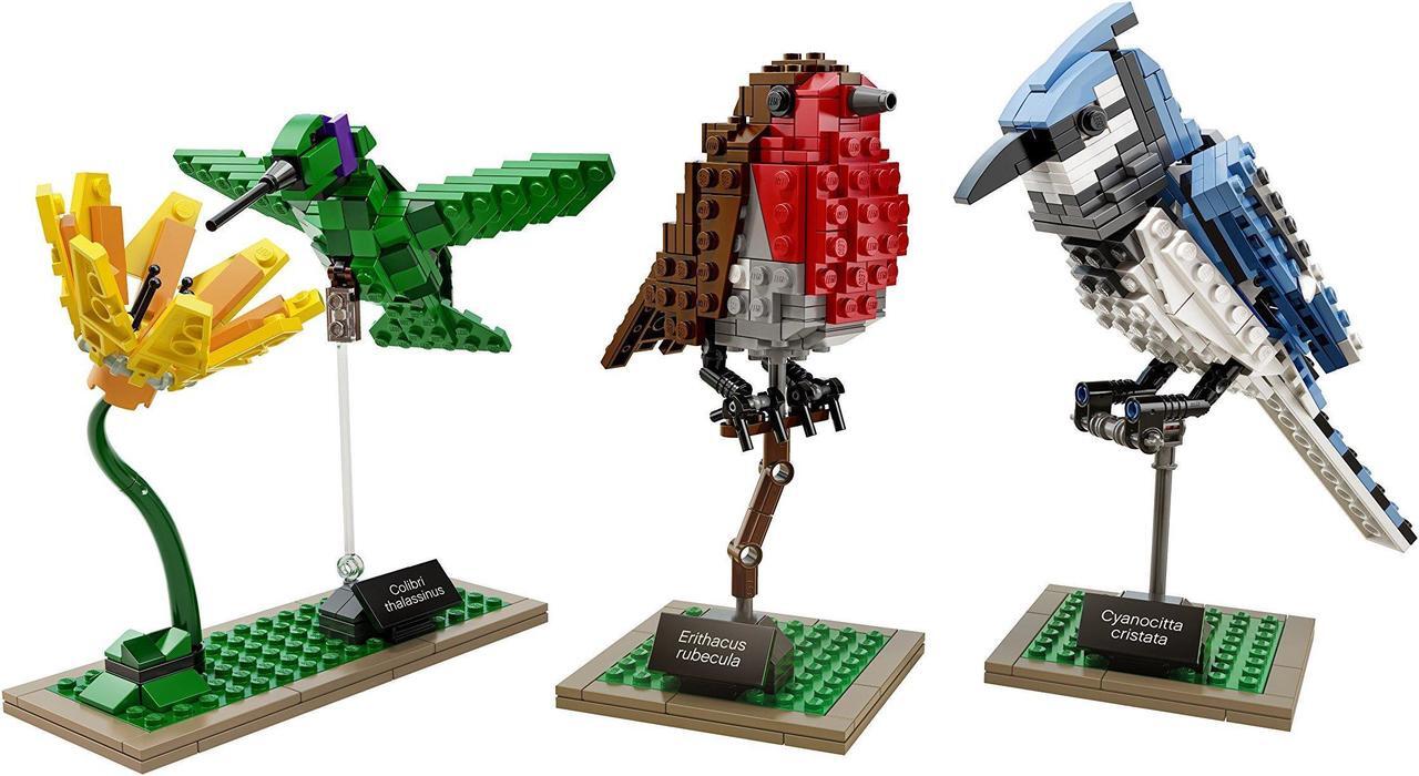 Alt view image 4 of 8 - LEGO Ideas 21301 Birds Model Kit(Discontinued by manufacturer)