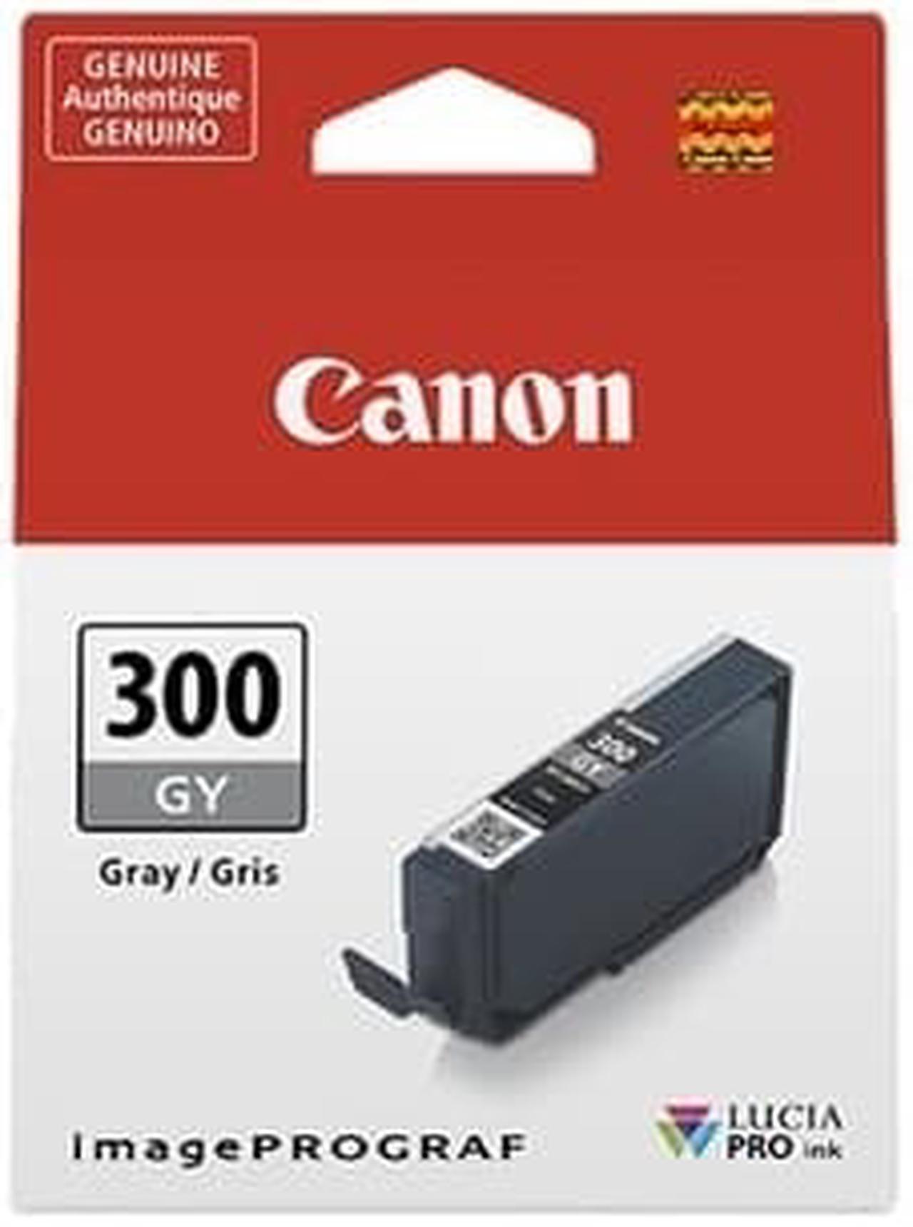 Alt view image 2 of 12 - Canon LUCIA PRO PFI-300 Original Ink Cartridge Gray 1 Pack 4200C002