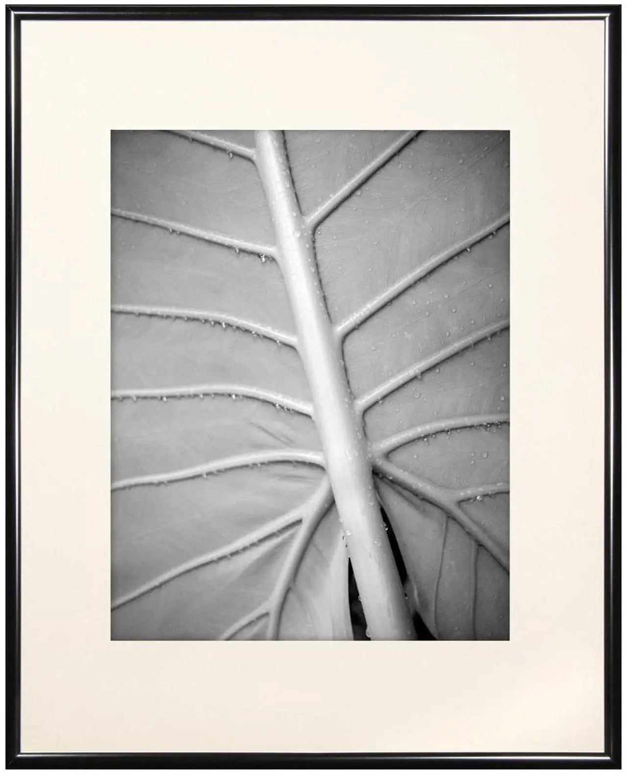 Main image of MCS Classic Aluminum 16x20" Frame, Black #44603
