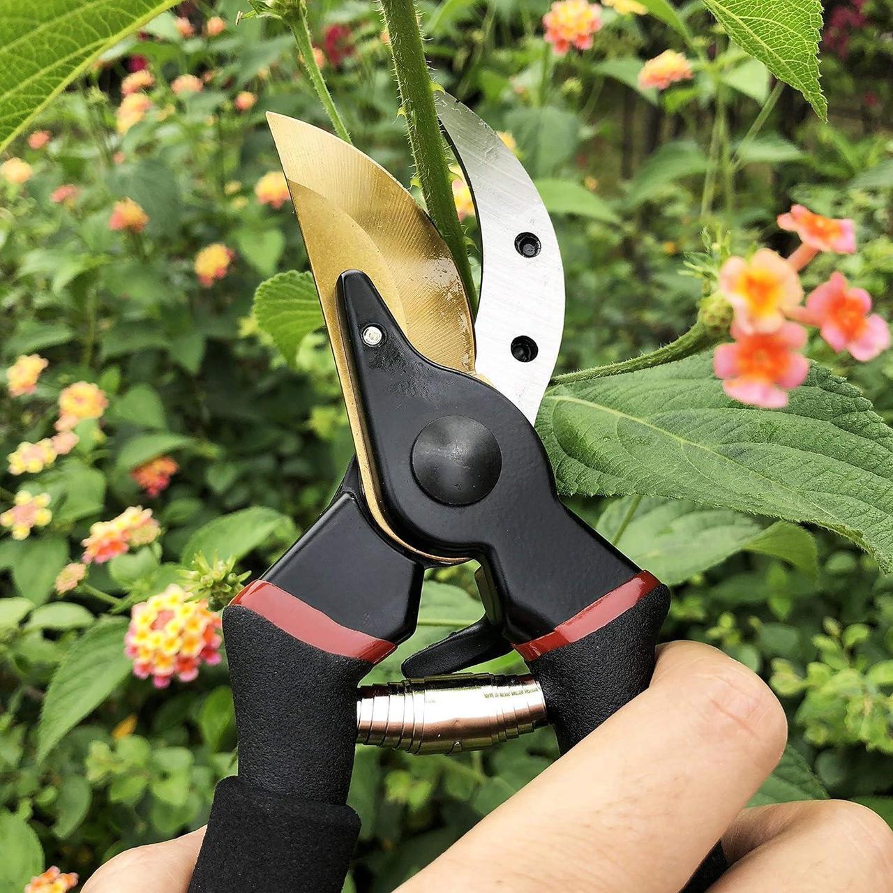 Alt view image 5 of 7 - Corn Electronics 8" Professional Premium Titanium Bypass Pruning Shears (GPPS-1003), Hand Pruners, Garden Clippers.