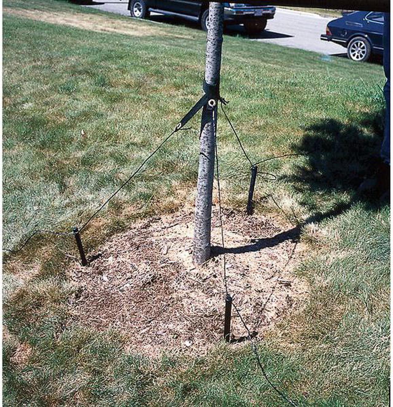 Alt view image 4 of 4 - DEWITT RS15 Tree Stake Kit, Polypropylene, Black
