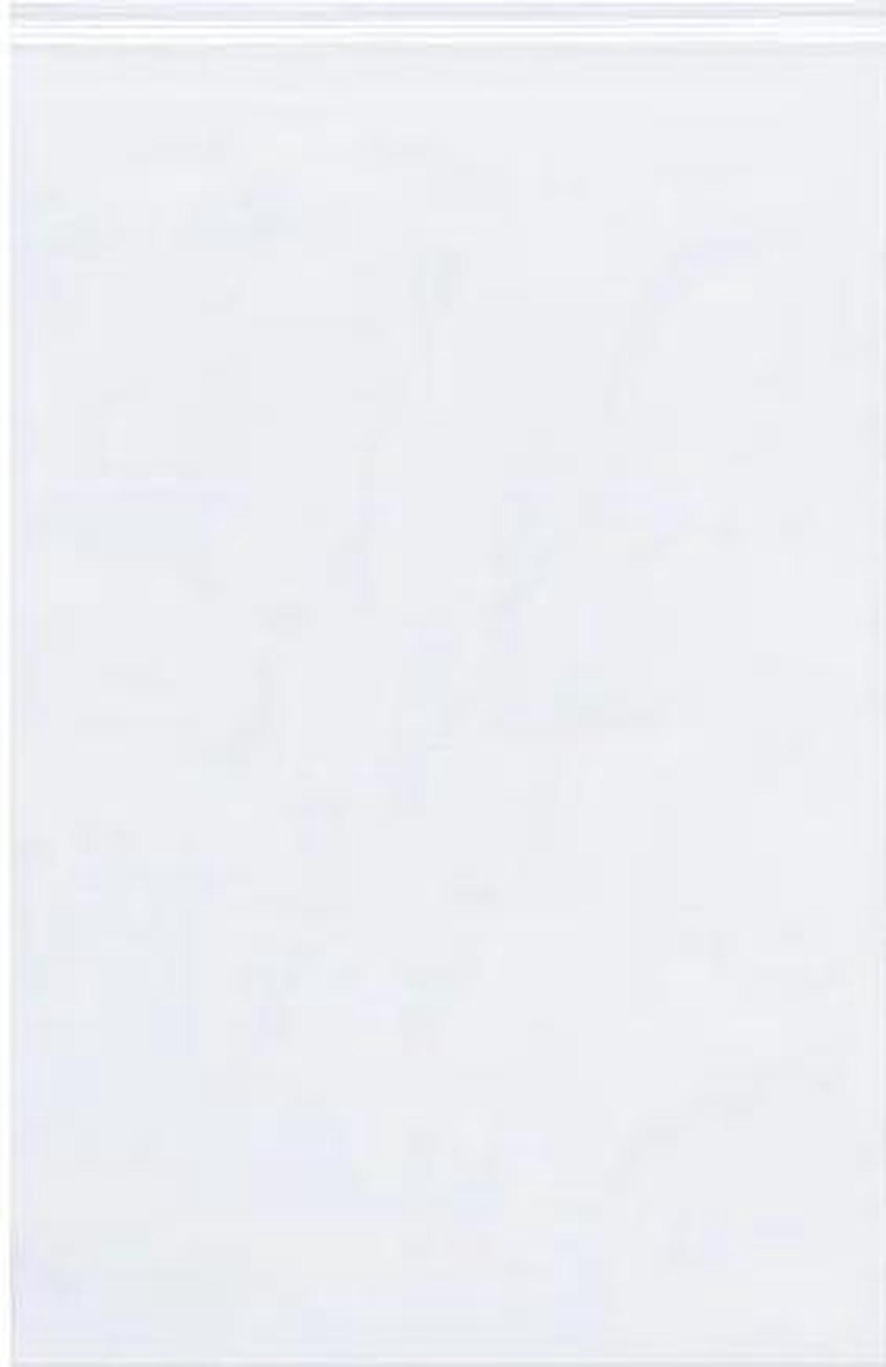 Main image of PARTNERS BRAND PB3713 Poly Bag,Rclsbl,2 1/2" x 12.4mm,PK1000, 12" L, 2 1/2" W,