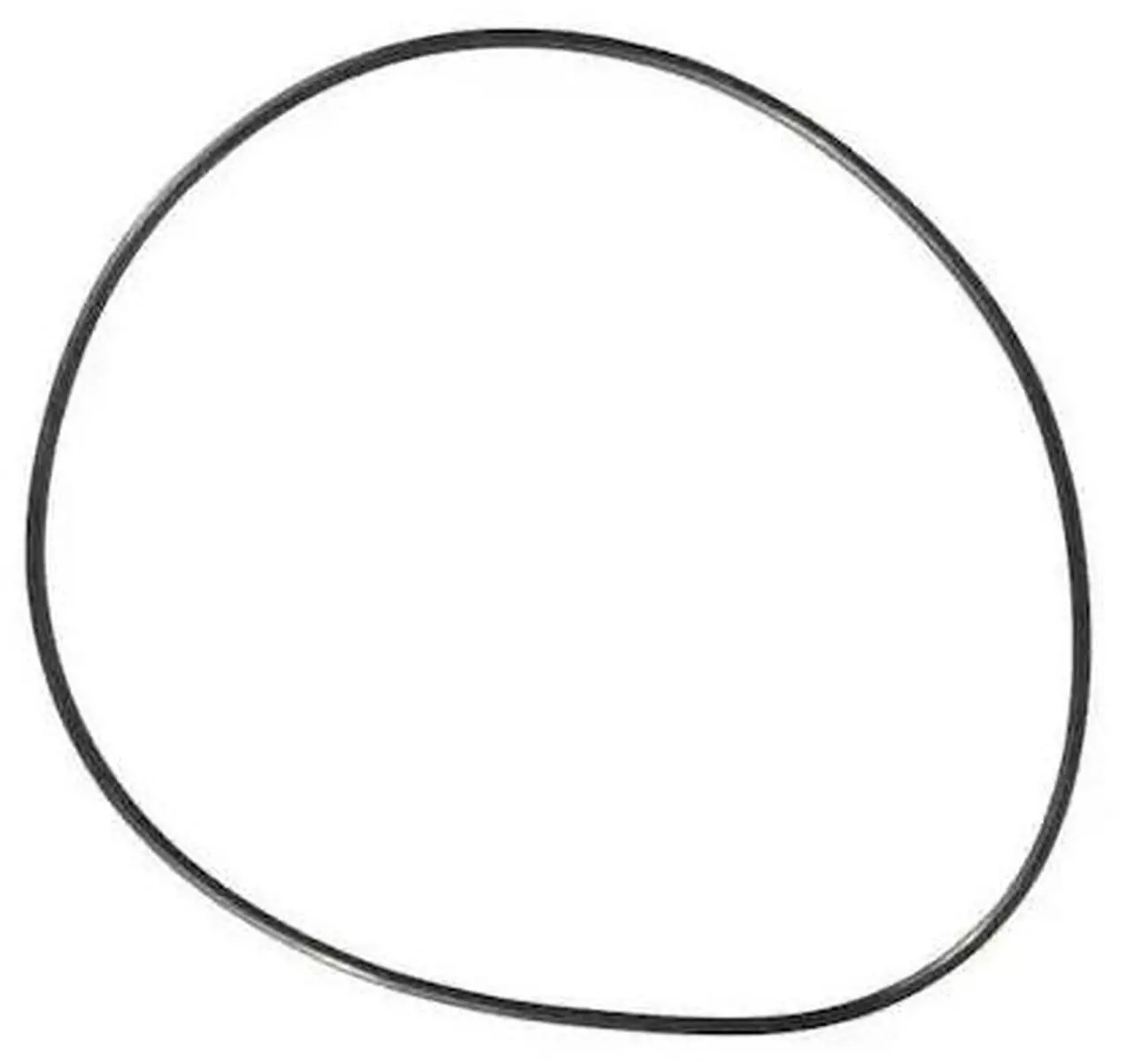Main image of DAYTON PPL3430G O-Ring,Casing