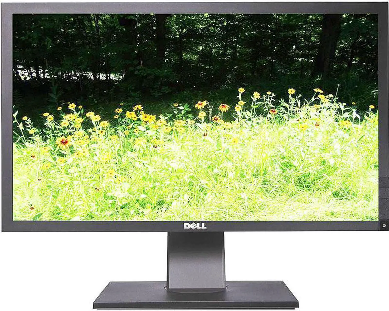 Main image of Dell Professional P2411HB 24" Full HD 1920 x 1080 5ms VGA DVI USB 2.0 Hub WideScreen LED Backlit LCD Monitor