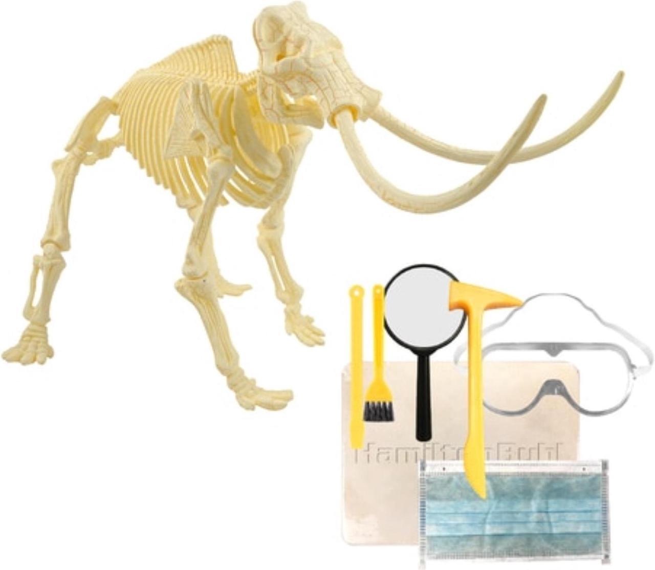 Alt view image 2 of 3 - HamiltonBuhl STEAM Education Paleo Hunter Dig Kit - Mammoth Rex