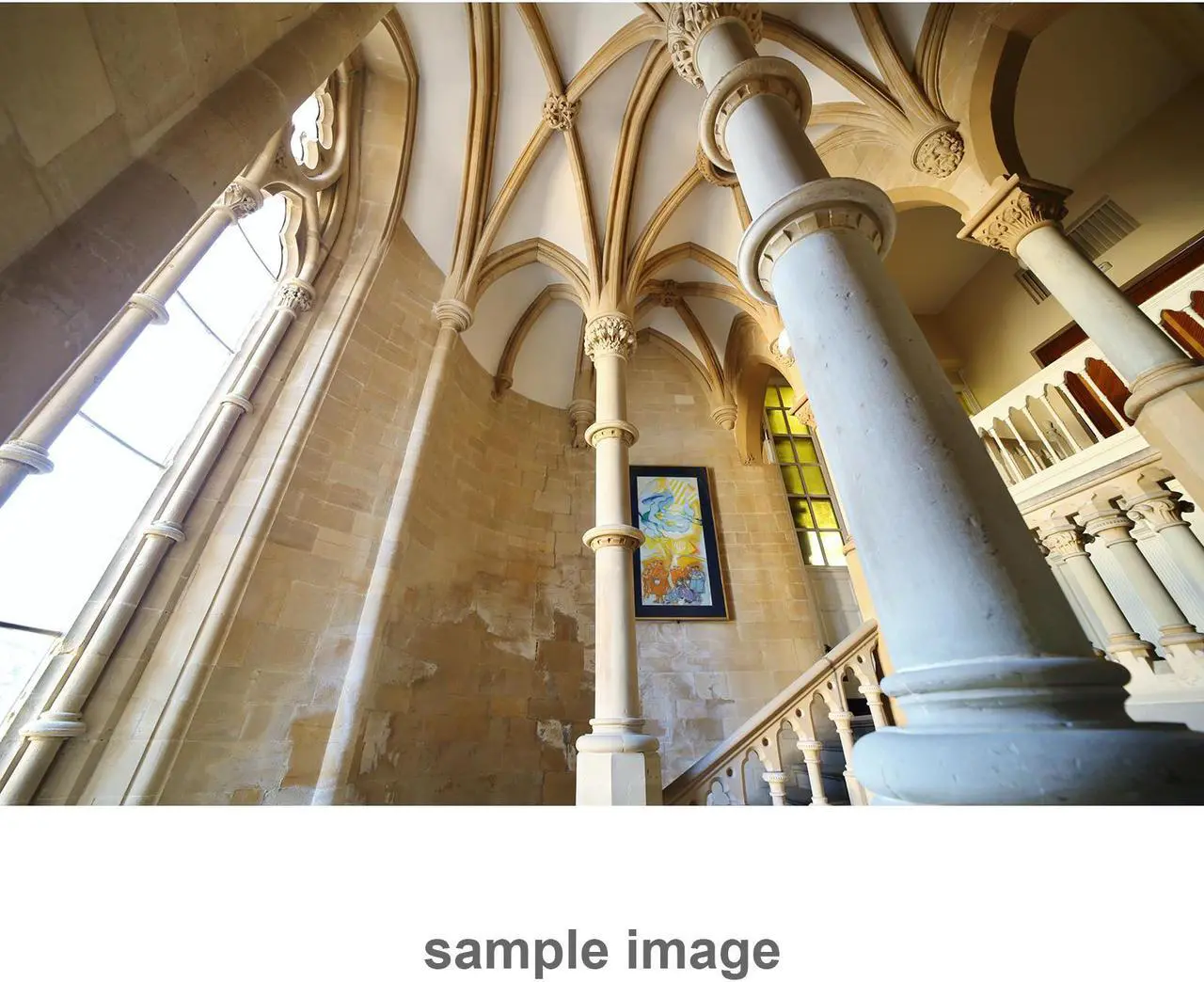 Alt view image 8 of 20 - Rokinon 14mm F2.8 AF Wide Angle Full Frame Auto Focus Lens for Canon EF Mount